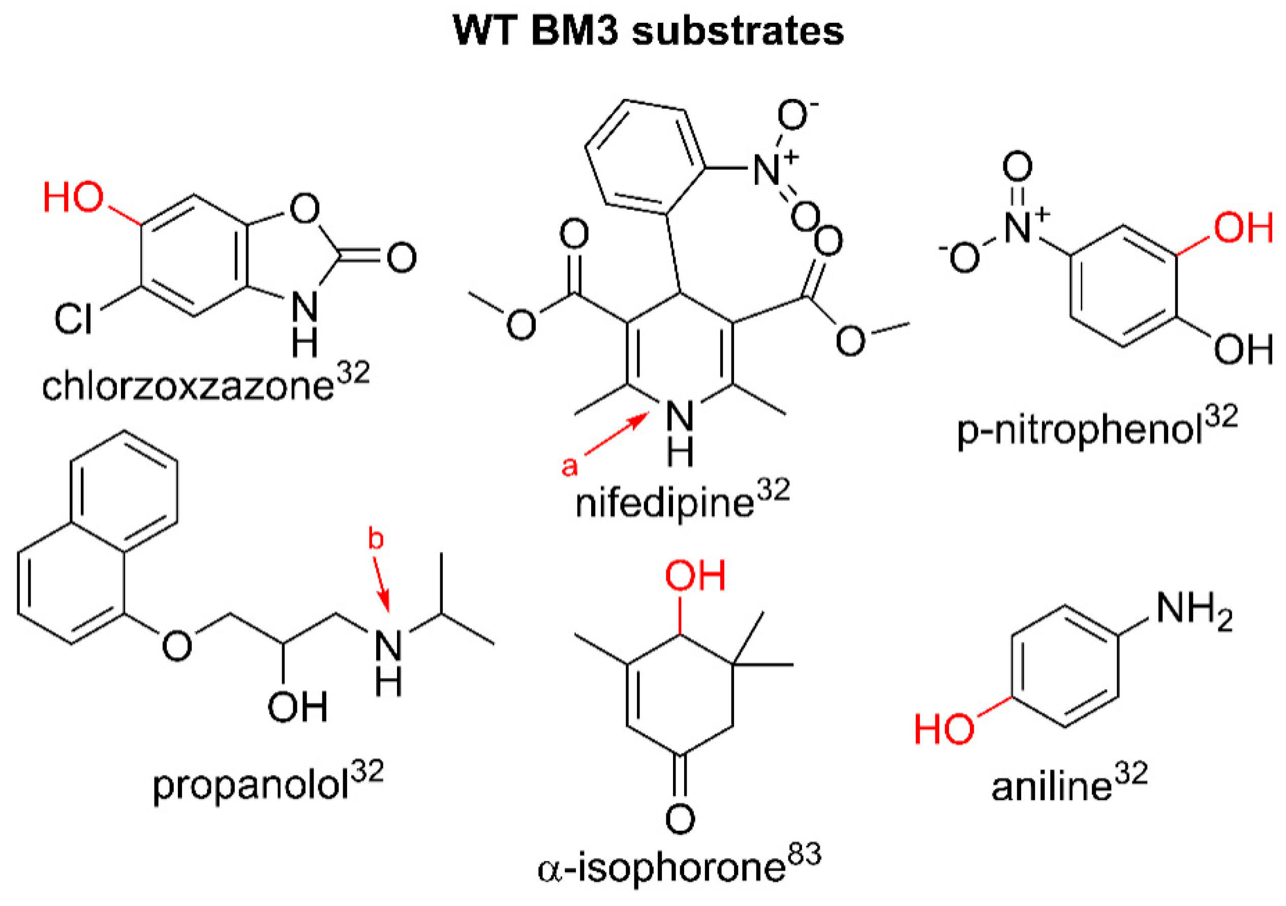 IJMS | Free Full-Text | A Promiscuous Bacterial P450: The Unparalleled ...