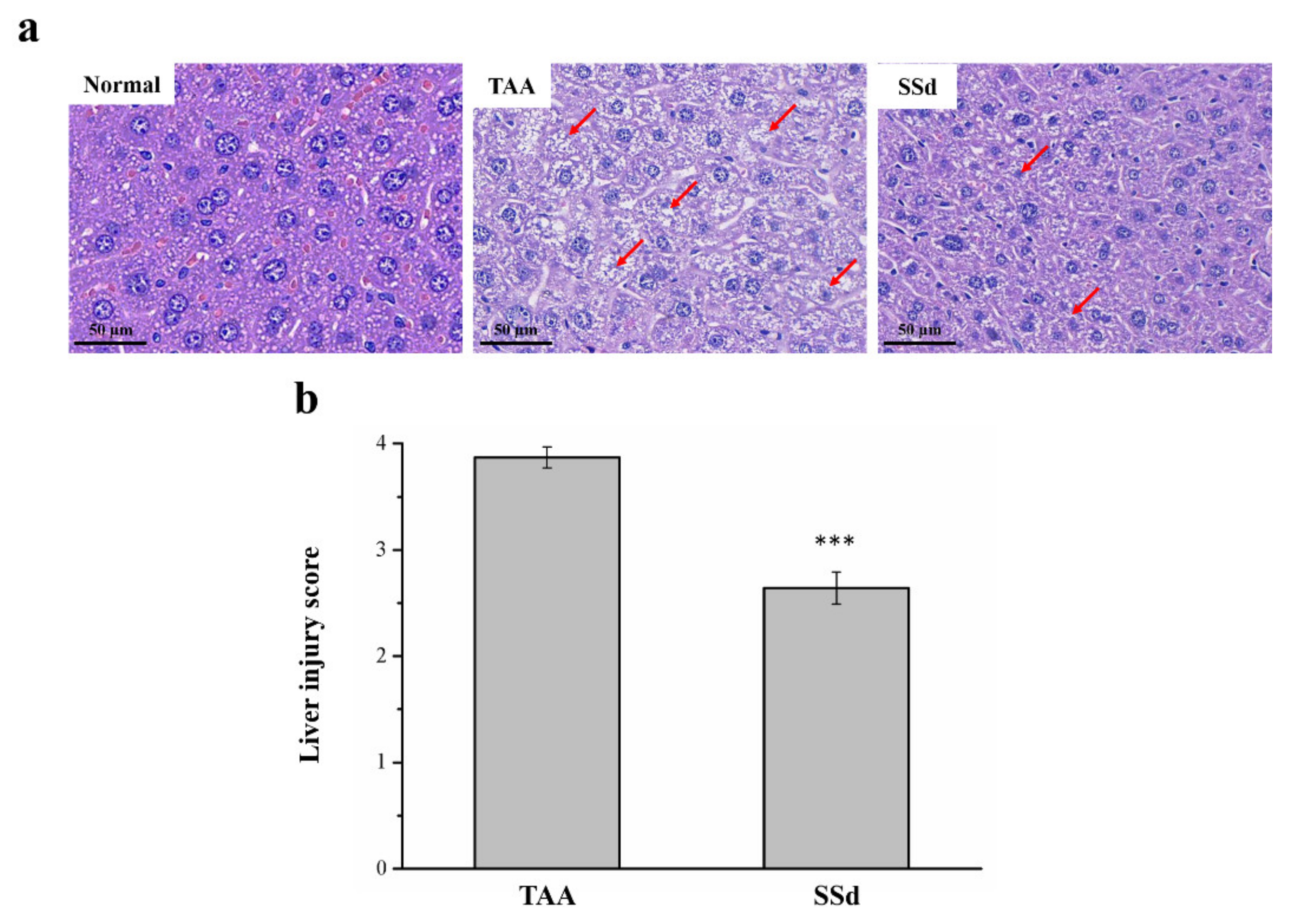 Ijms 22 11383 g003 Ijms 22 11383 g003