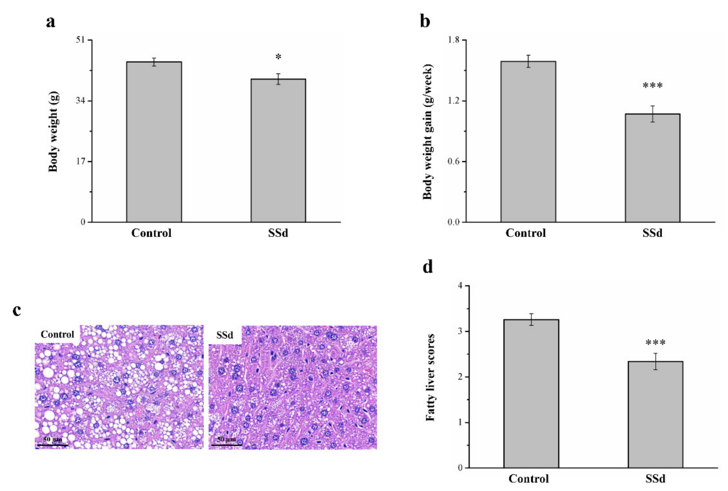 Ijms 22 11383 g007 Ijms 22 11383 g007