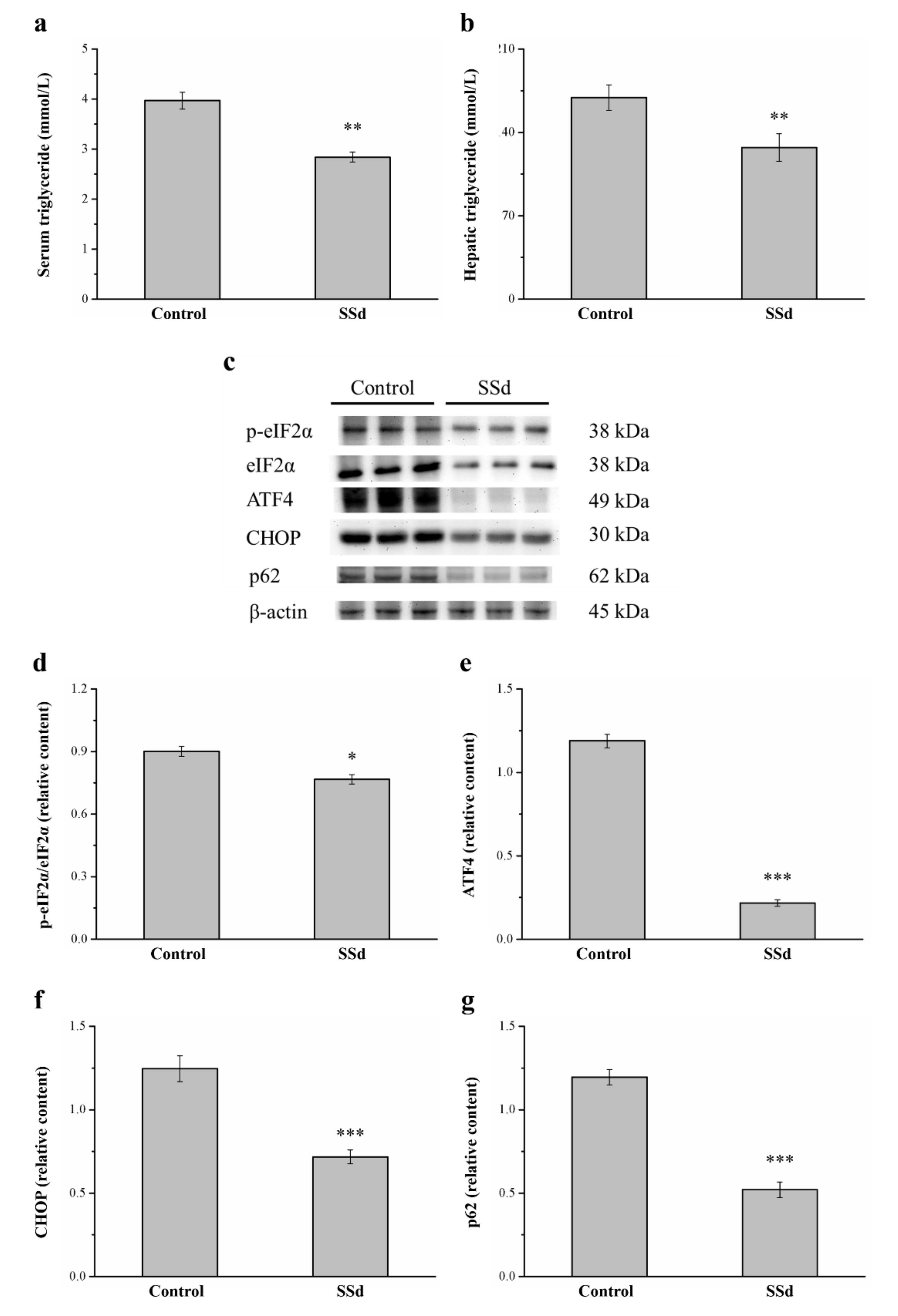 Ijms 22 11383 g009 Ijms 22 11383 g009