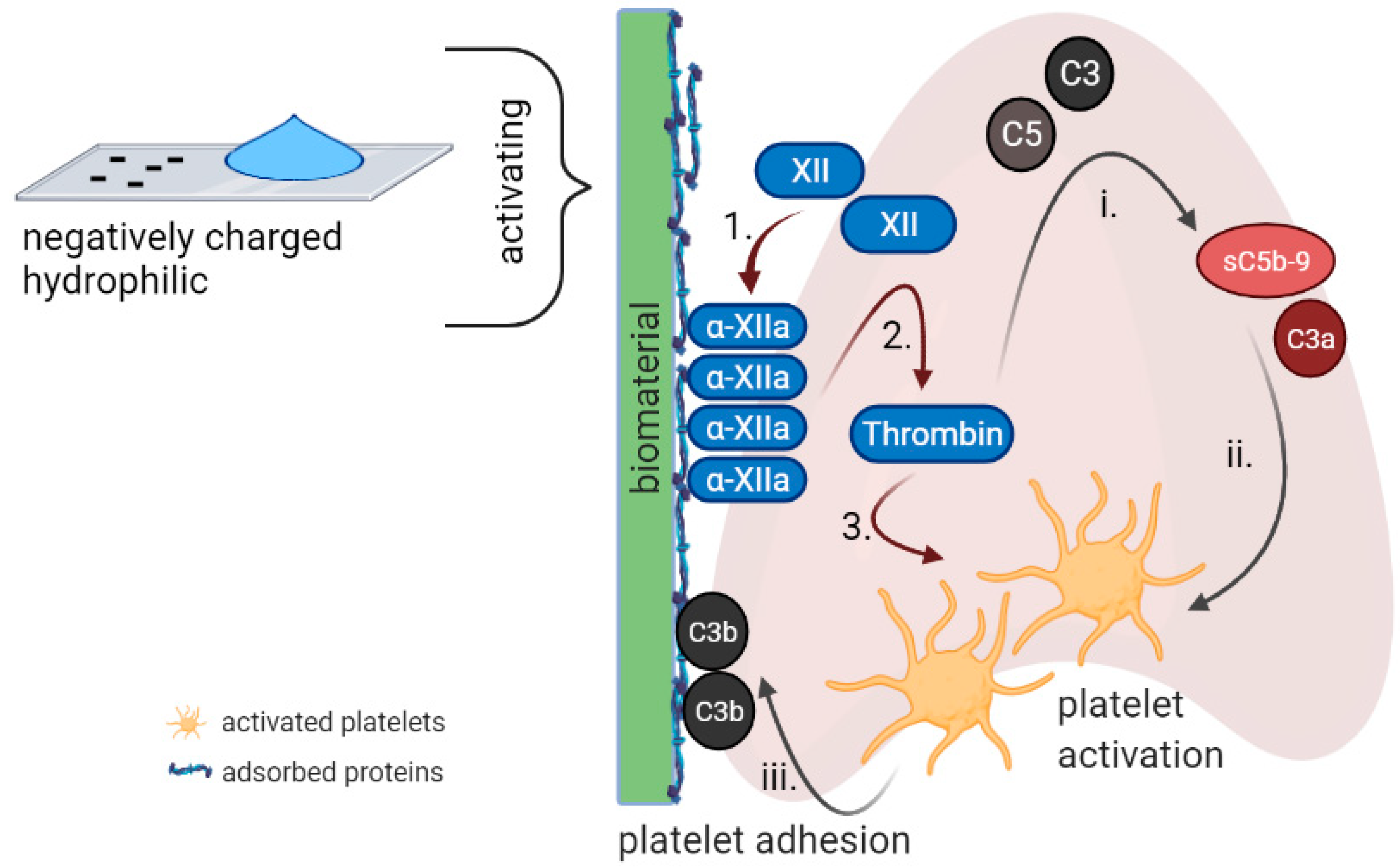 Ijms 22 11390 g002 Ijms 22 11390 g002