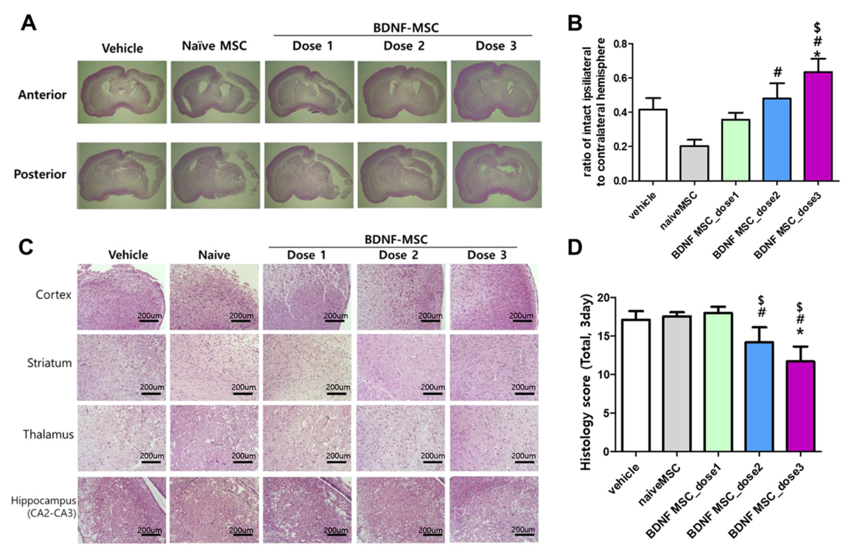 Ijms 22 11395 g003 550