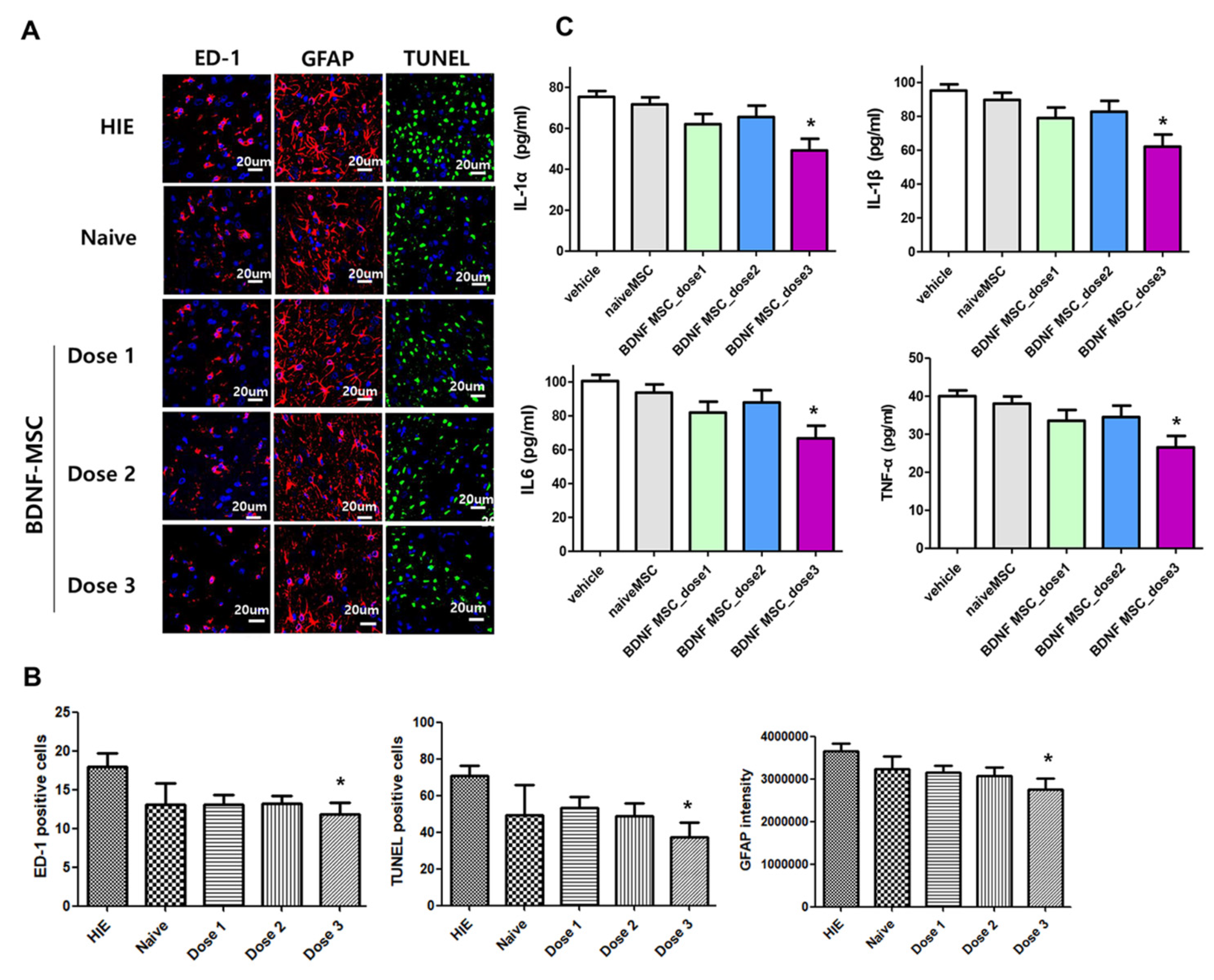 Ijms 22 11395 g006 550