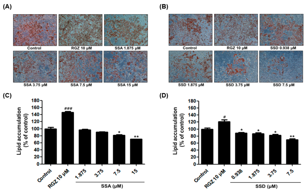 Ijms 22 11409 g002 550