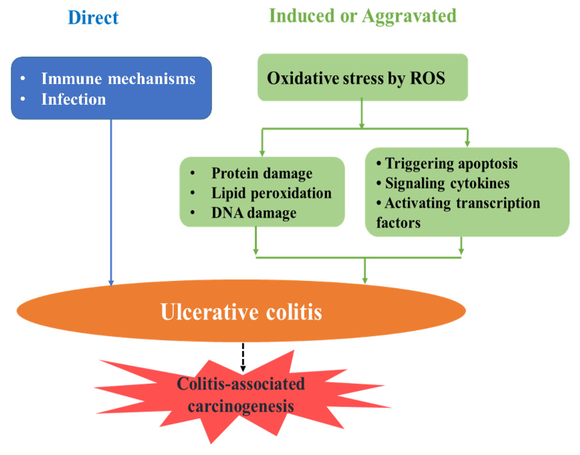 Triggers for the Nrf2/ARE Signaling Pathway and Its