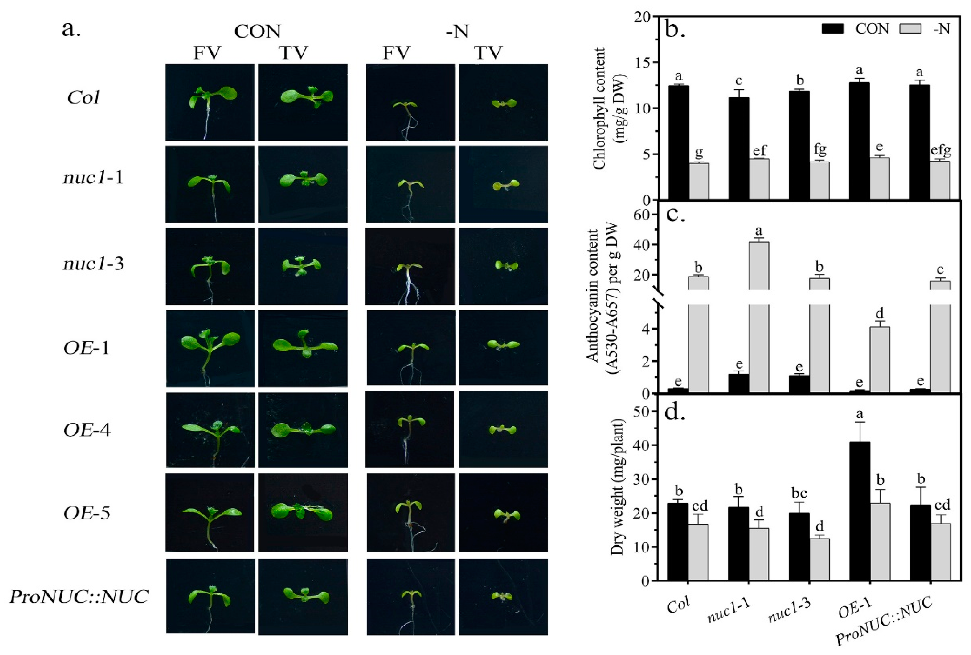 Ijms 22 11413 g002 550