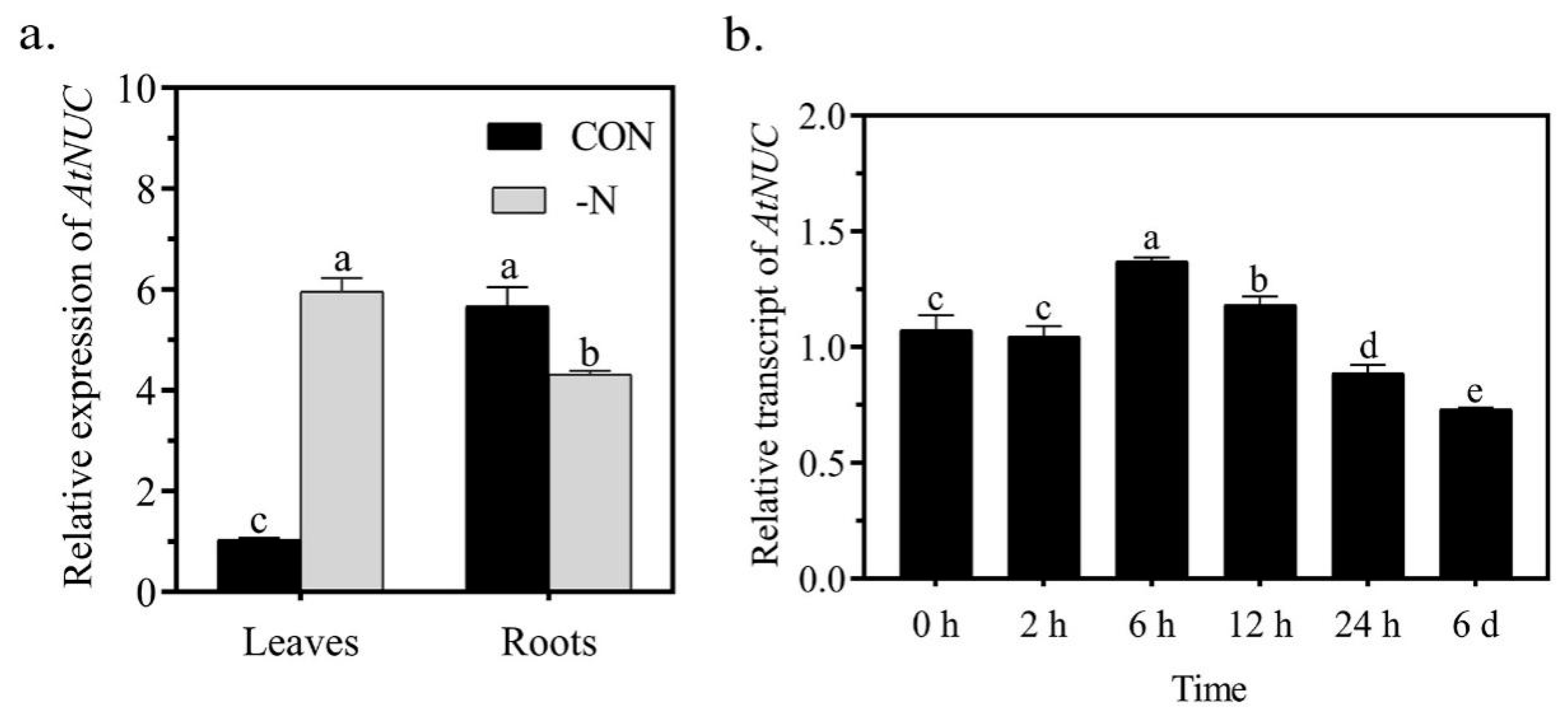 Ijms 22 11413 g003 550