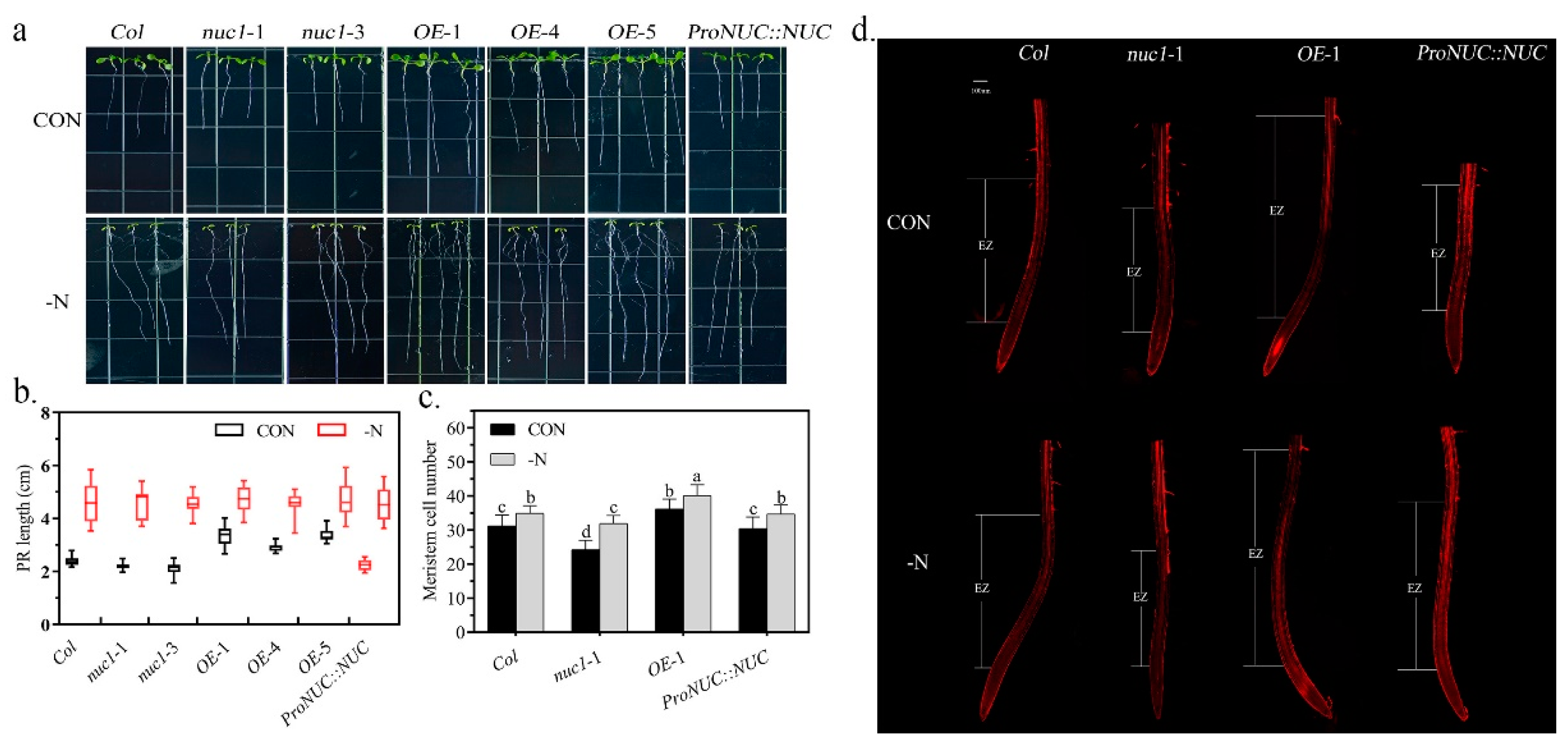 Ijms 22 11413 g004 550