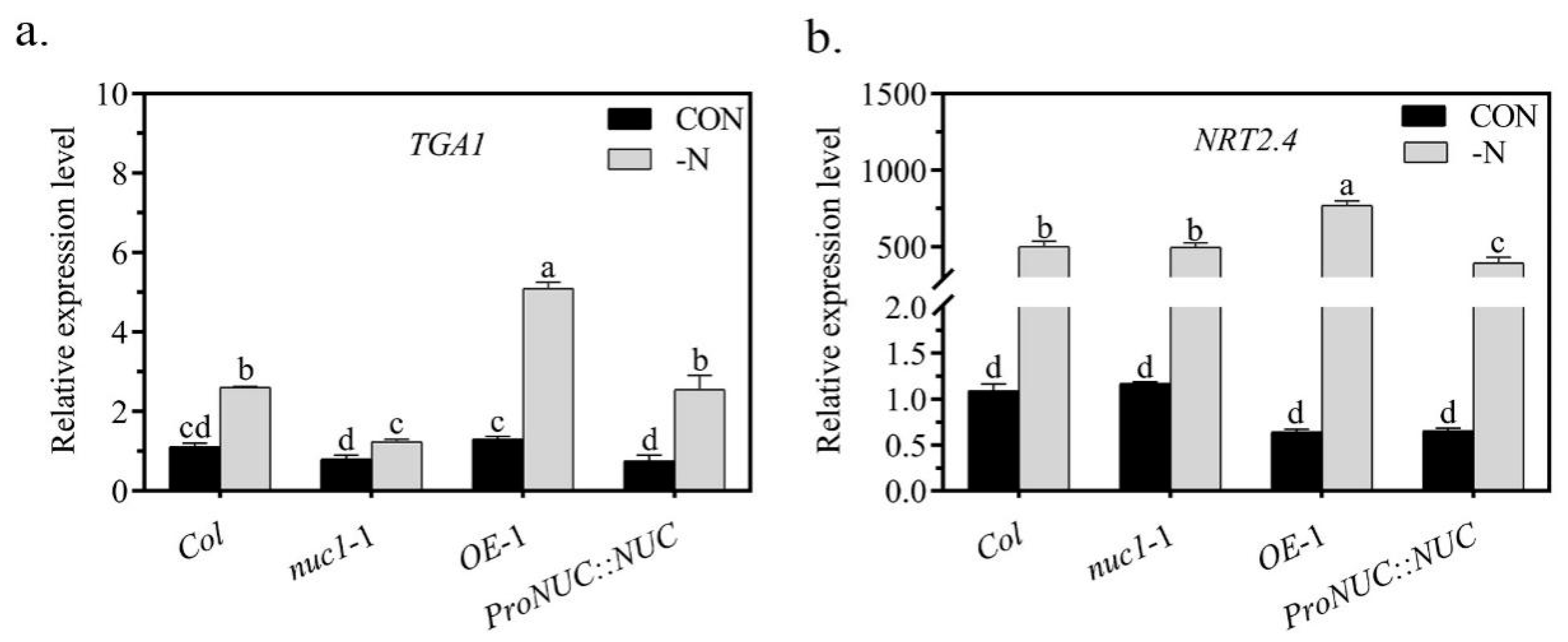 Ijms 22 11413 g005 550
