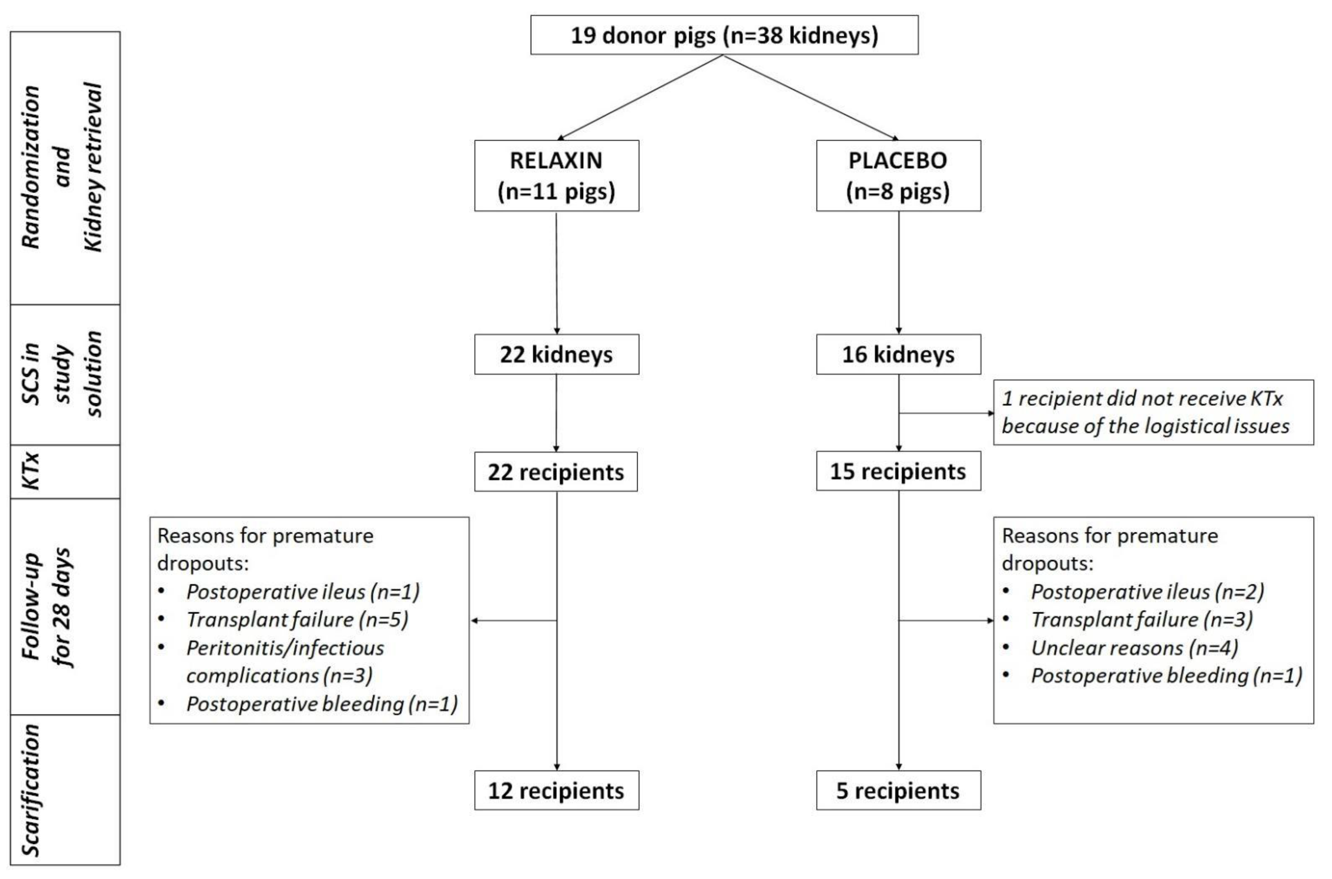 Ijms 22 11417 g001 550