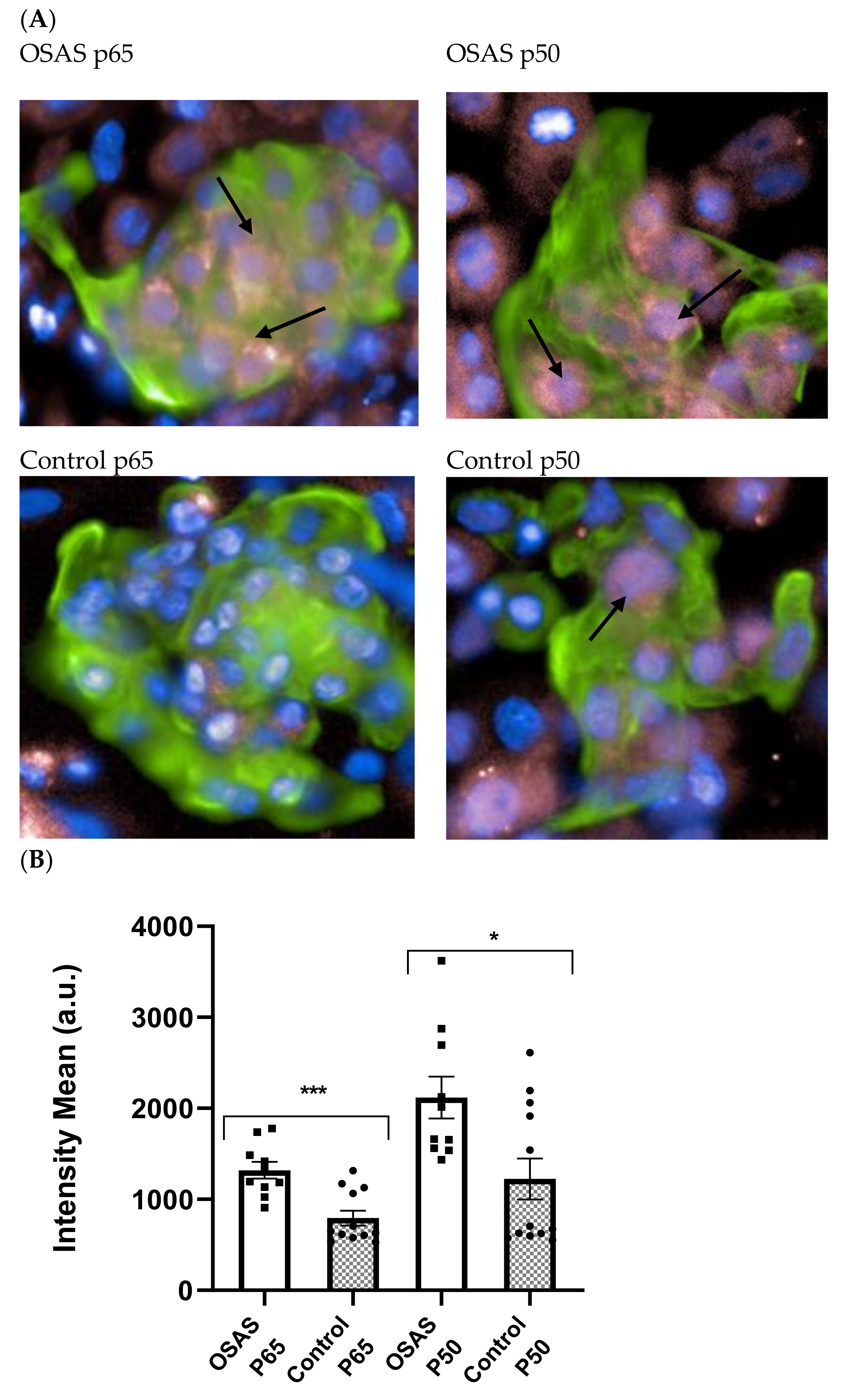 Ijms 22 11418 g002 550