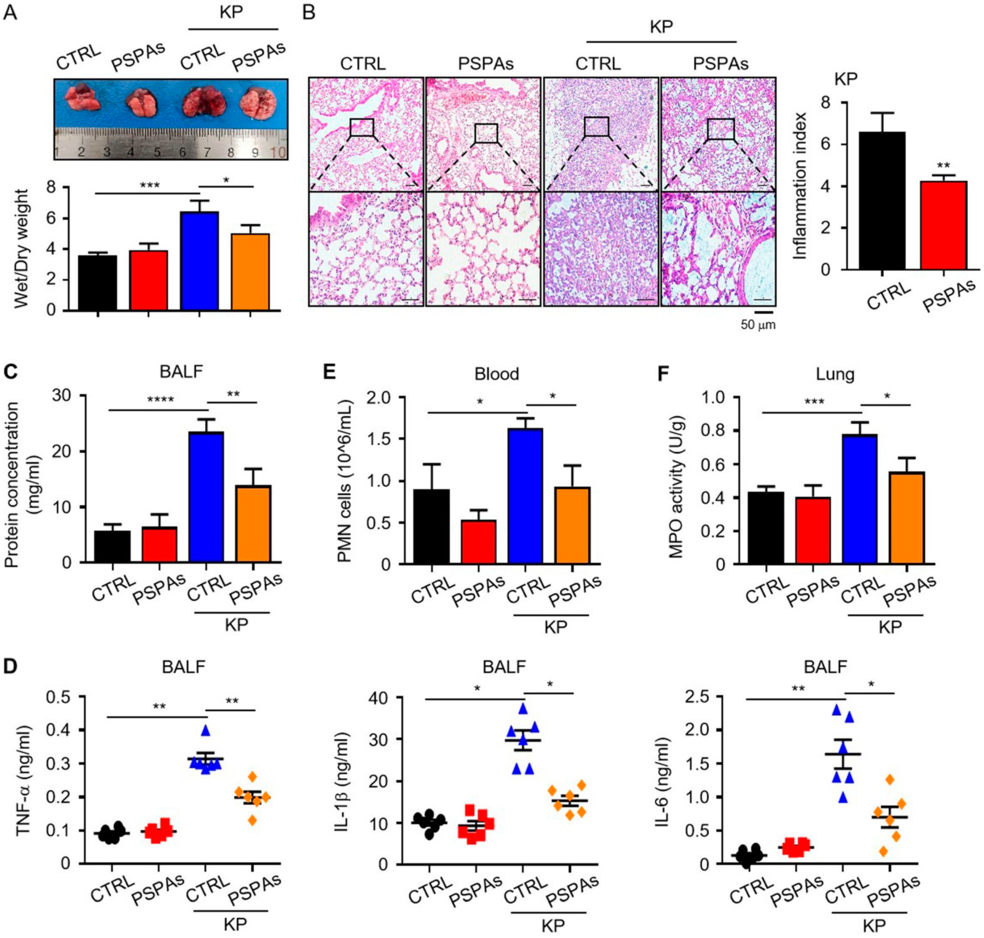 Ijms 22 11422 g002 550