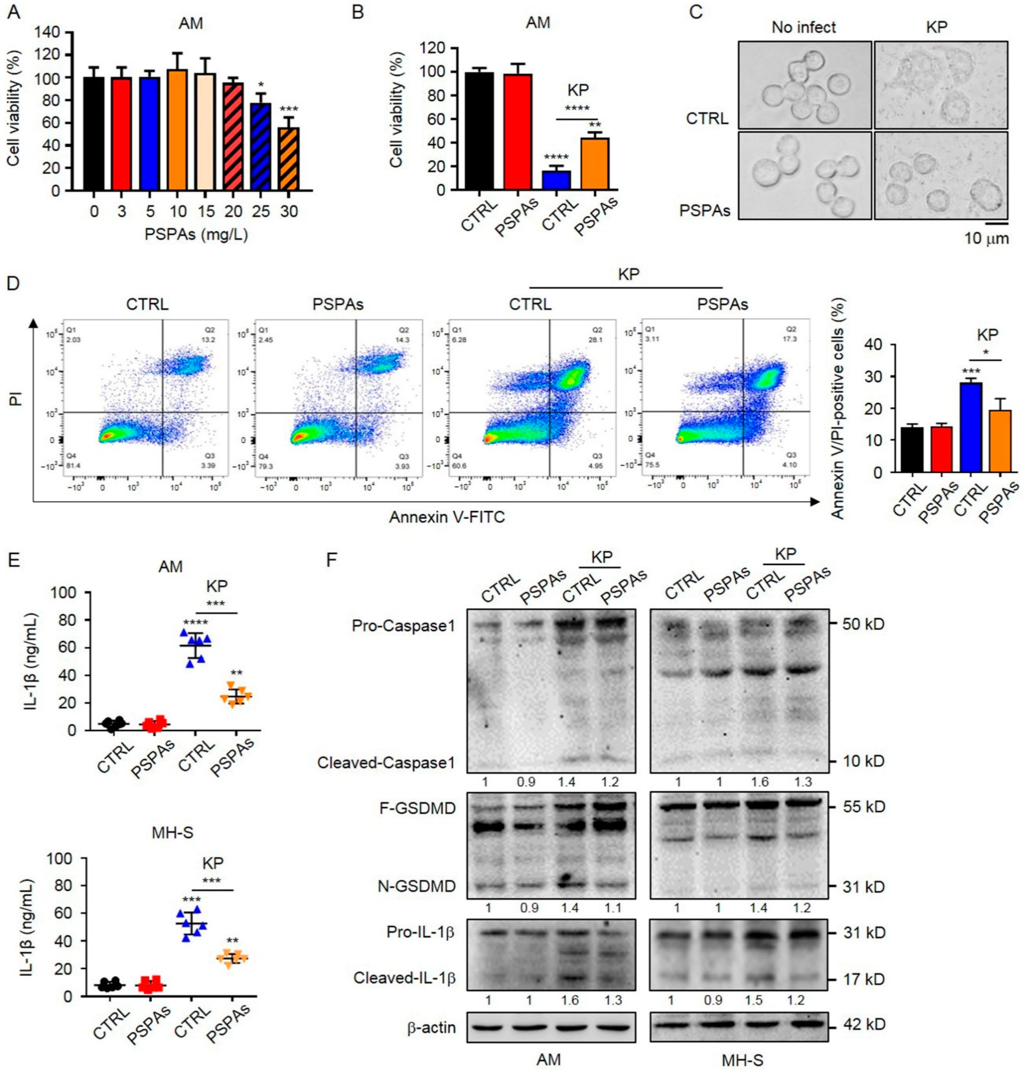 Ijms 22 11422 g003 550