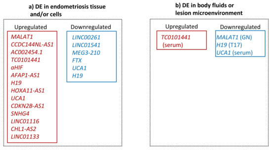 The Role of Long Non-Coding RNAs in Endometriosis