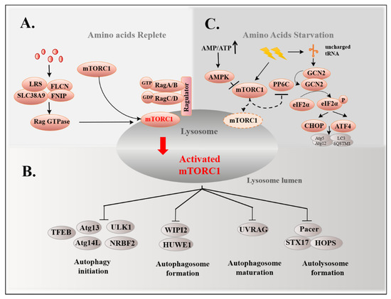 meaning of redox potential of glutathione disulfide Redox reaction of glutathione and glutathione disul fi de; Ellman