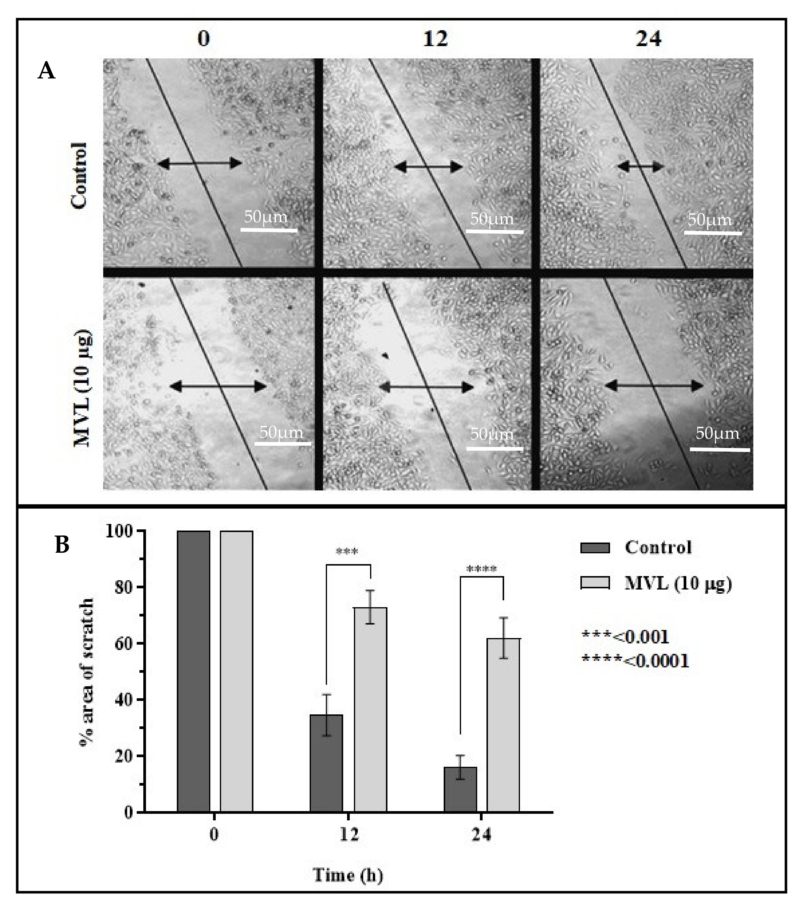 Ijms 22 11432 g005 550