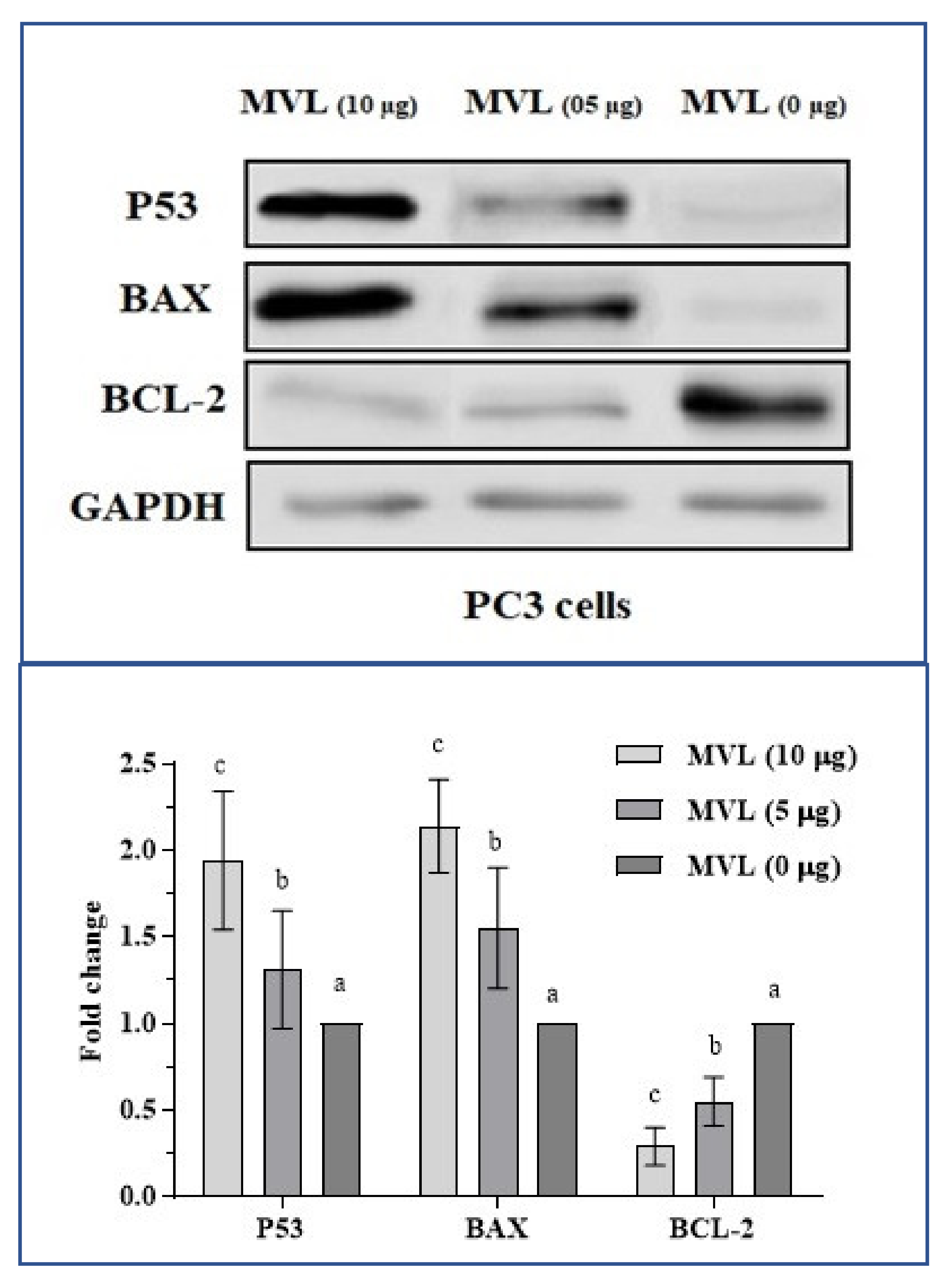 Ijms 22 11432 g006 550