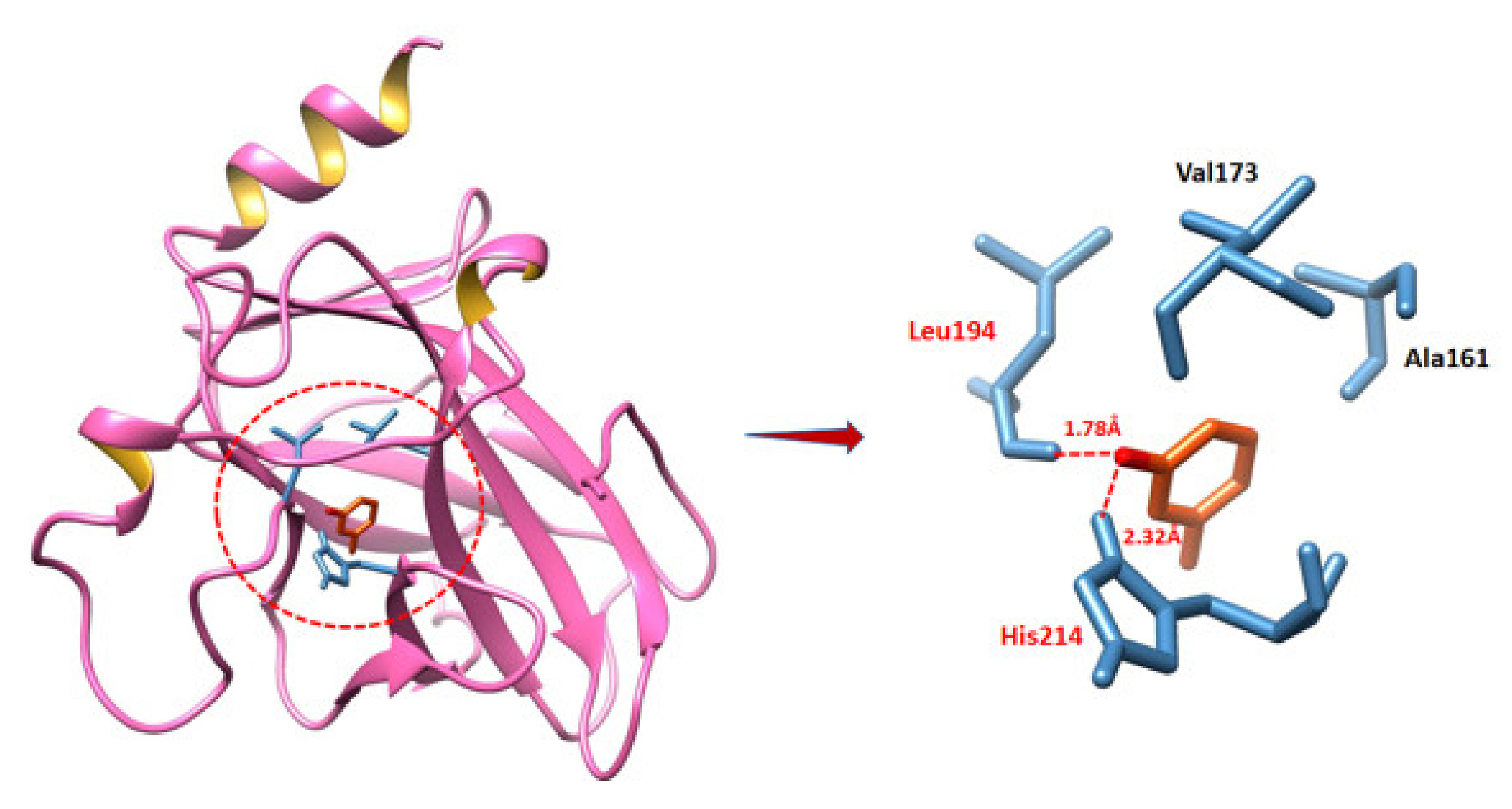 Ijms 22 11432 g011 550