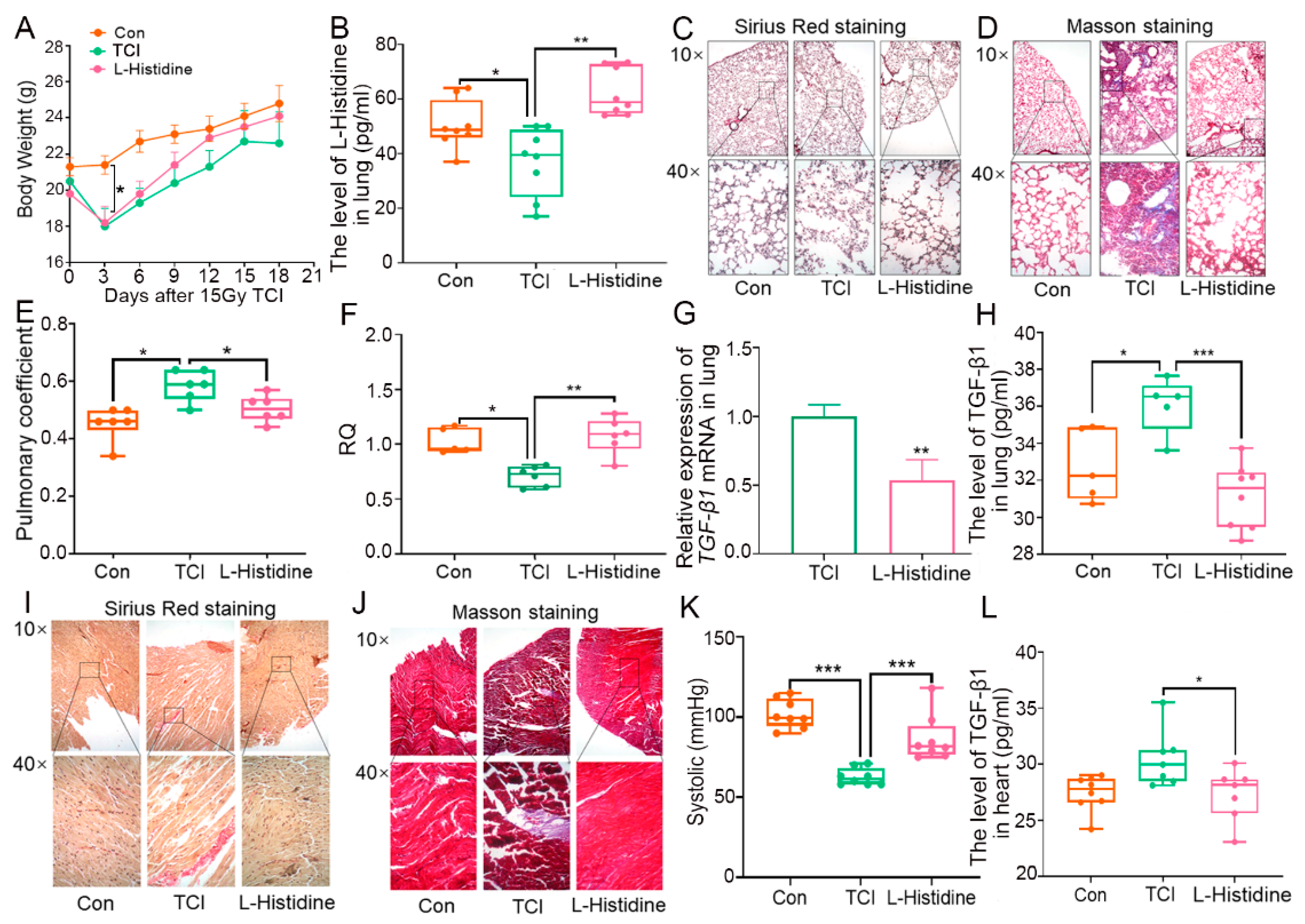 Ijms 22 11436 g001 550