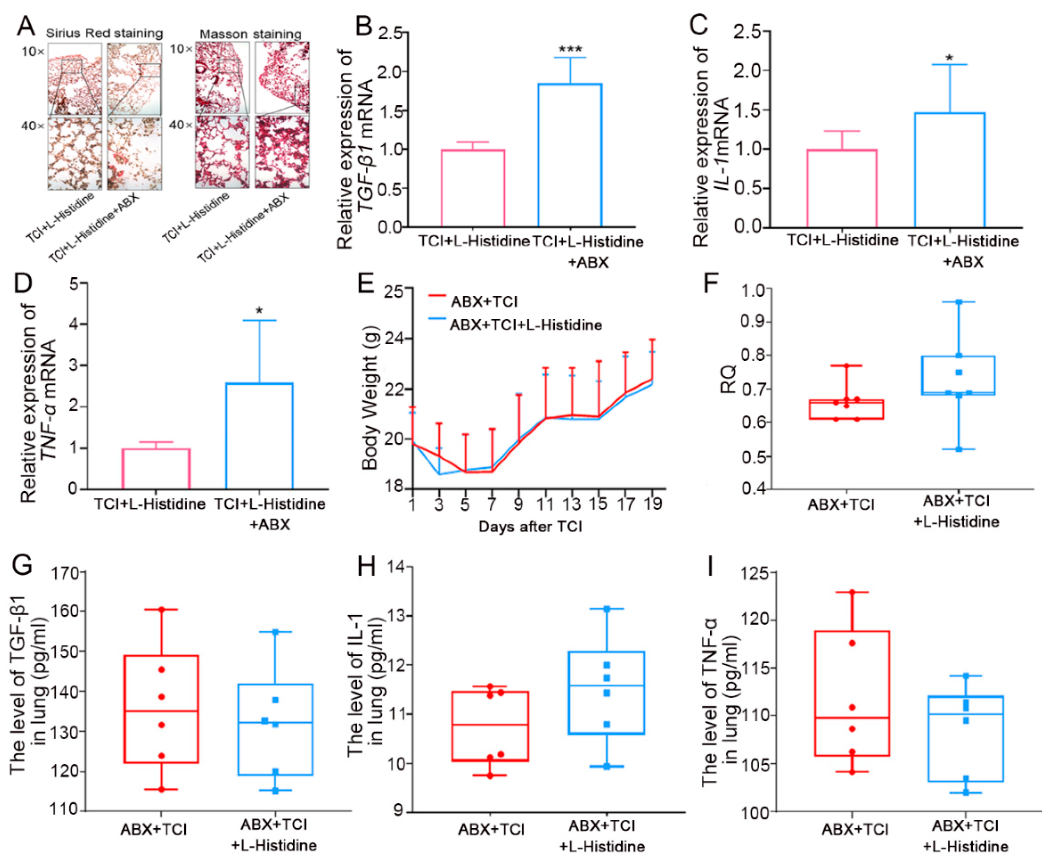 Ijms 22 11436 g003 550