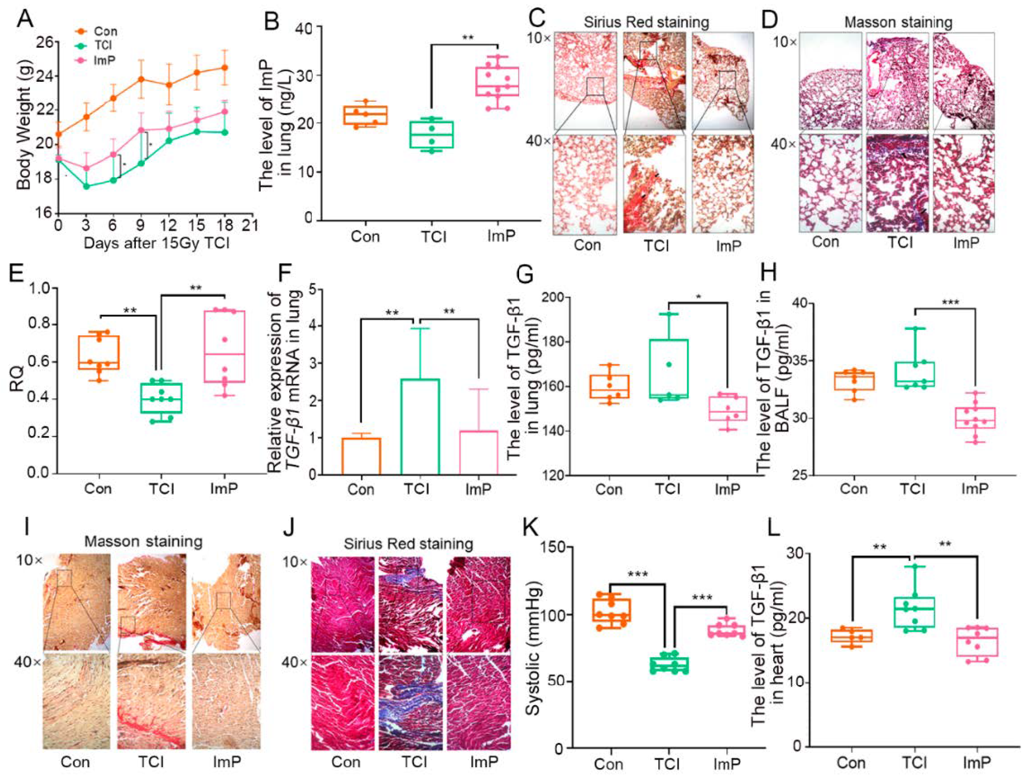 Ijms 22 11436 g005 550