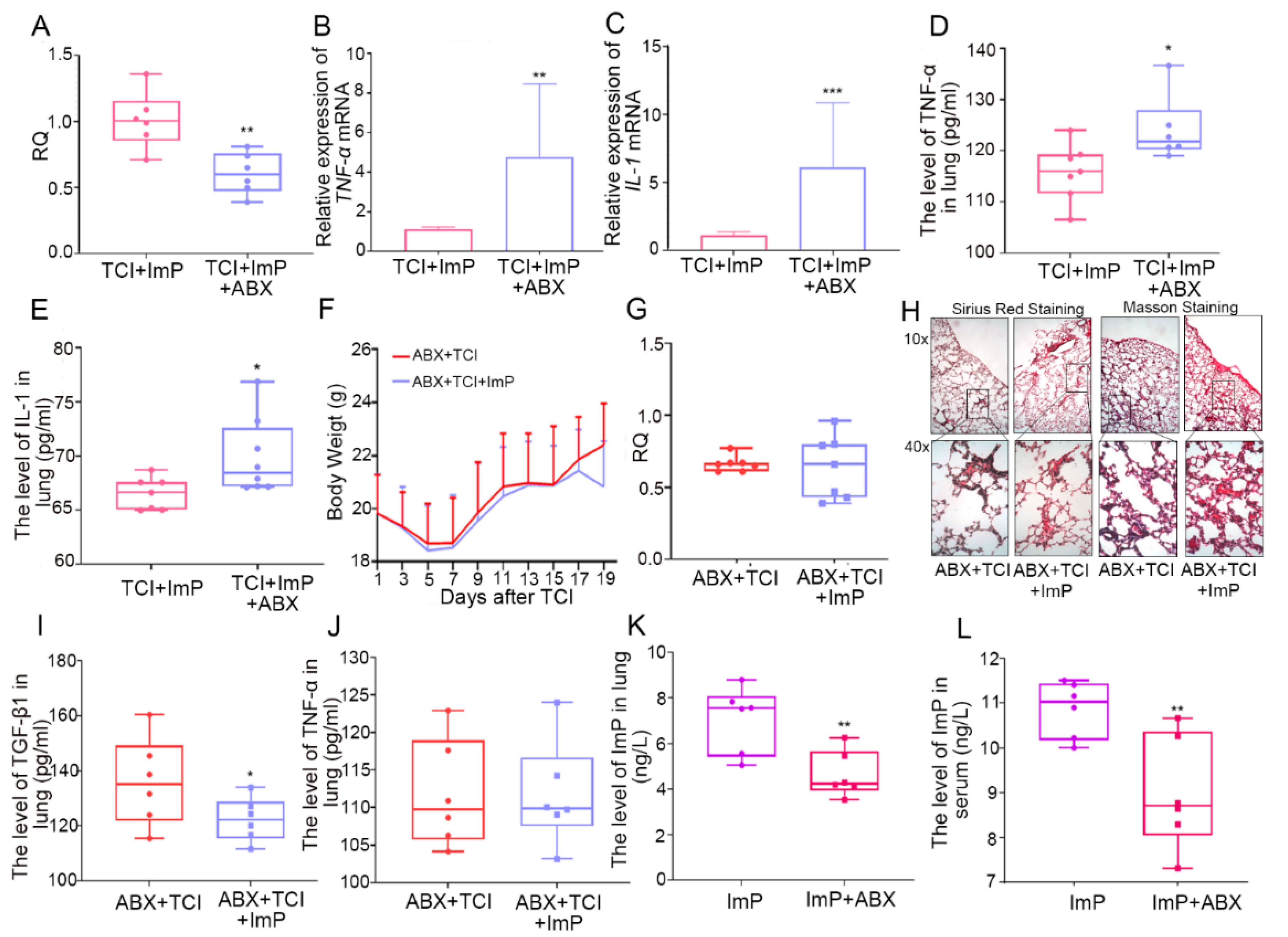 Ijms 22 11436 g006 550