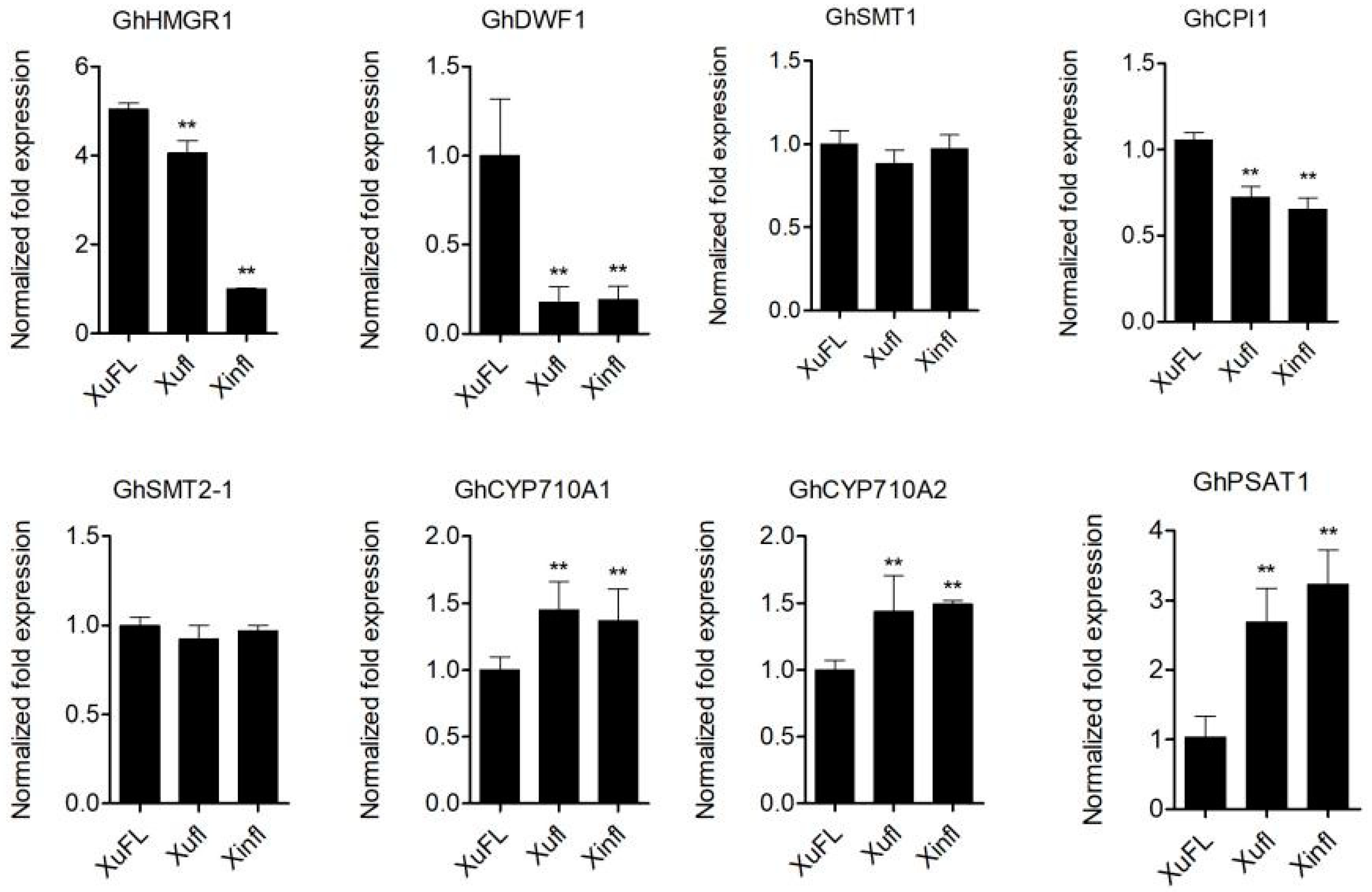 Ijms 22 11438 g007 550