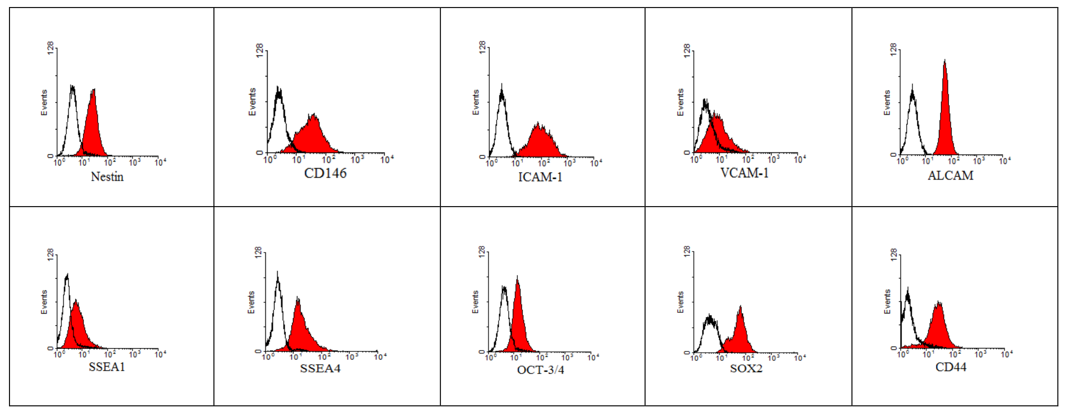 Ijms 22 11439 g003b 550