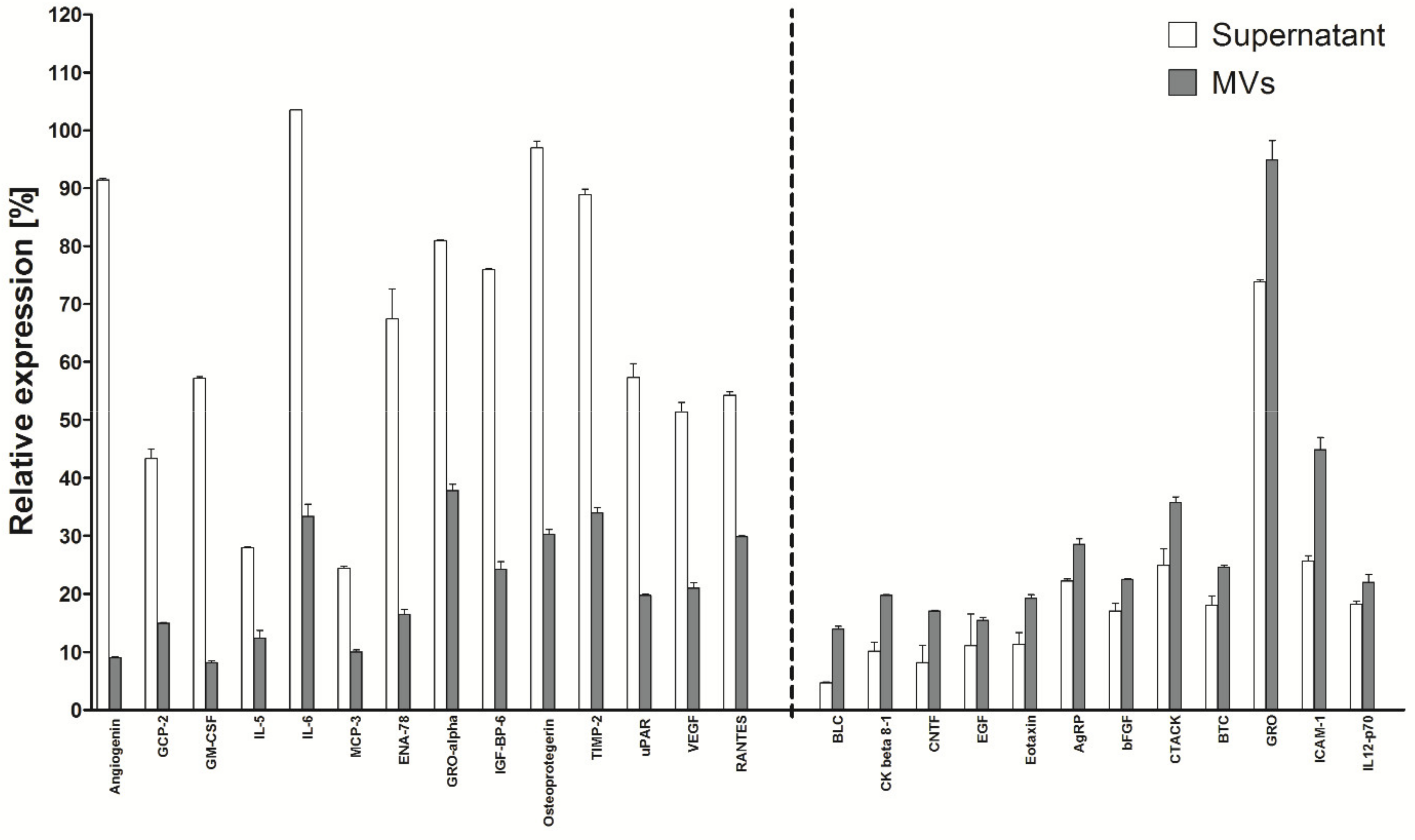 Ijms 22 11439 g011 550