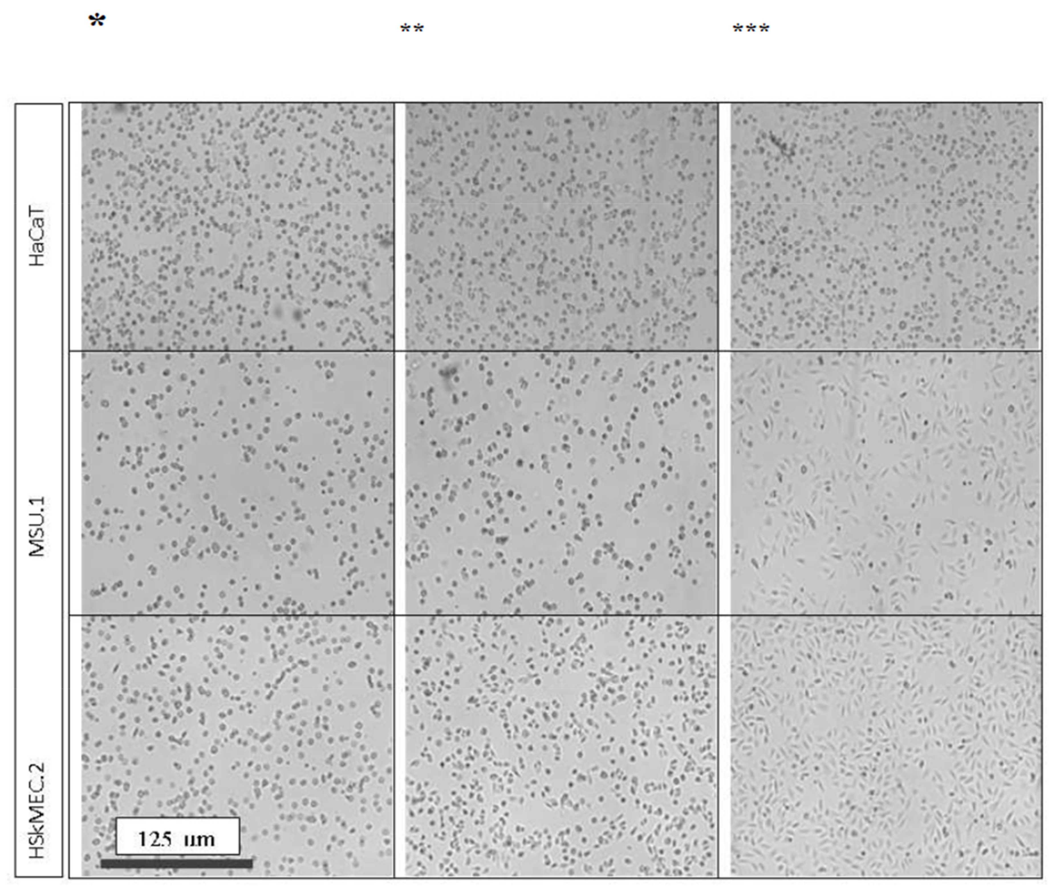 Ijms 22 11439 g013 550