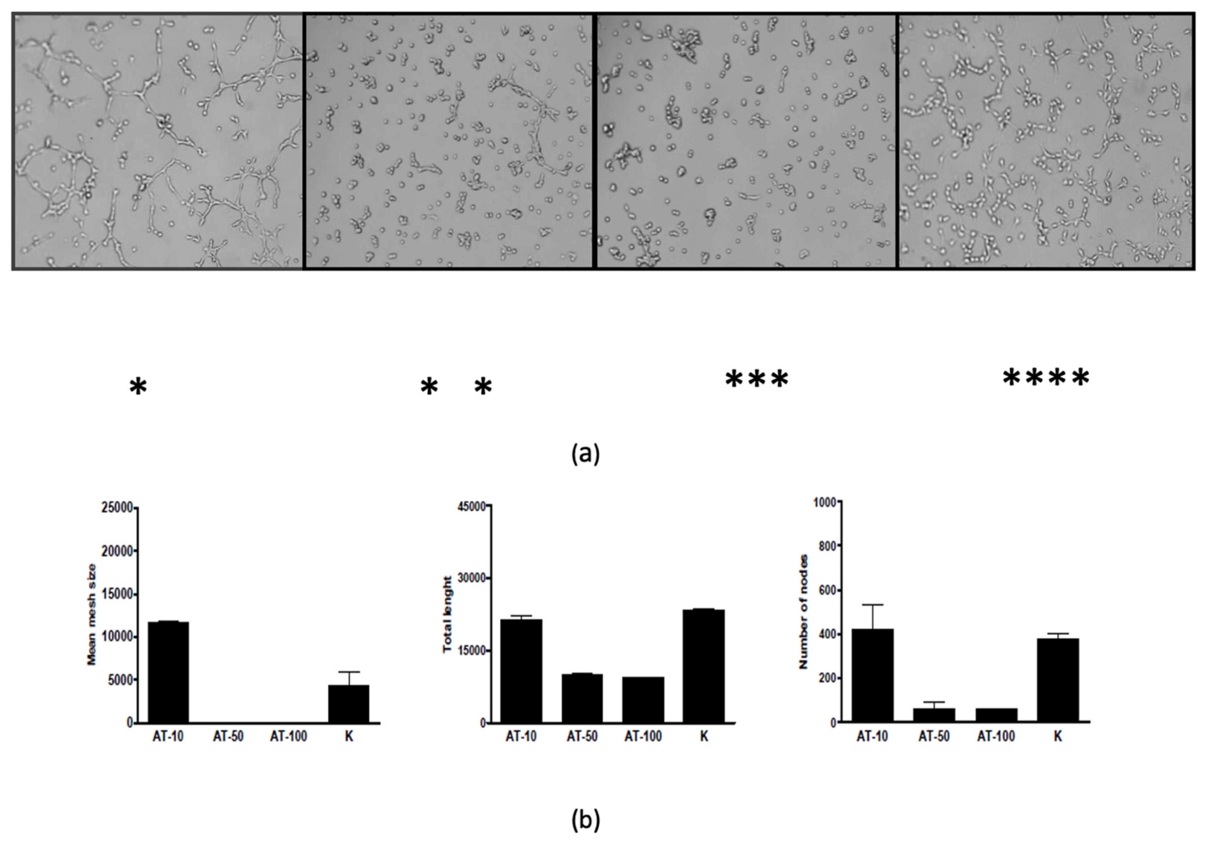 Ijms 22 11439 g014 550