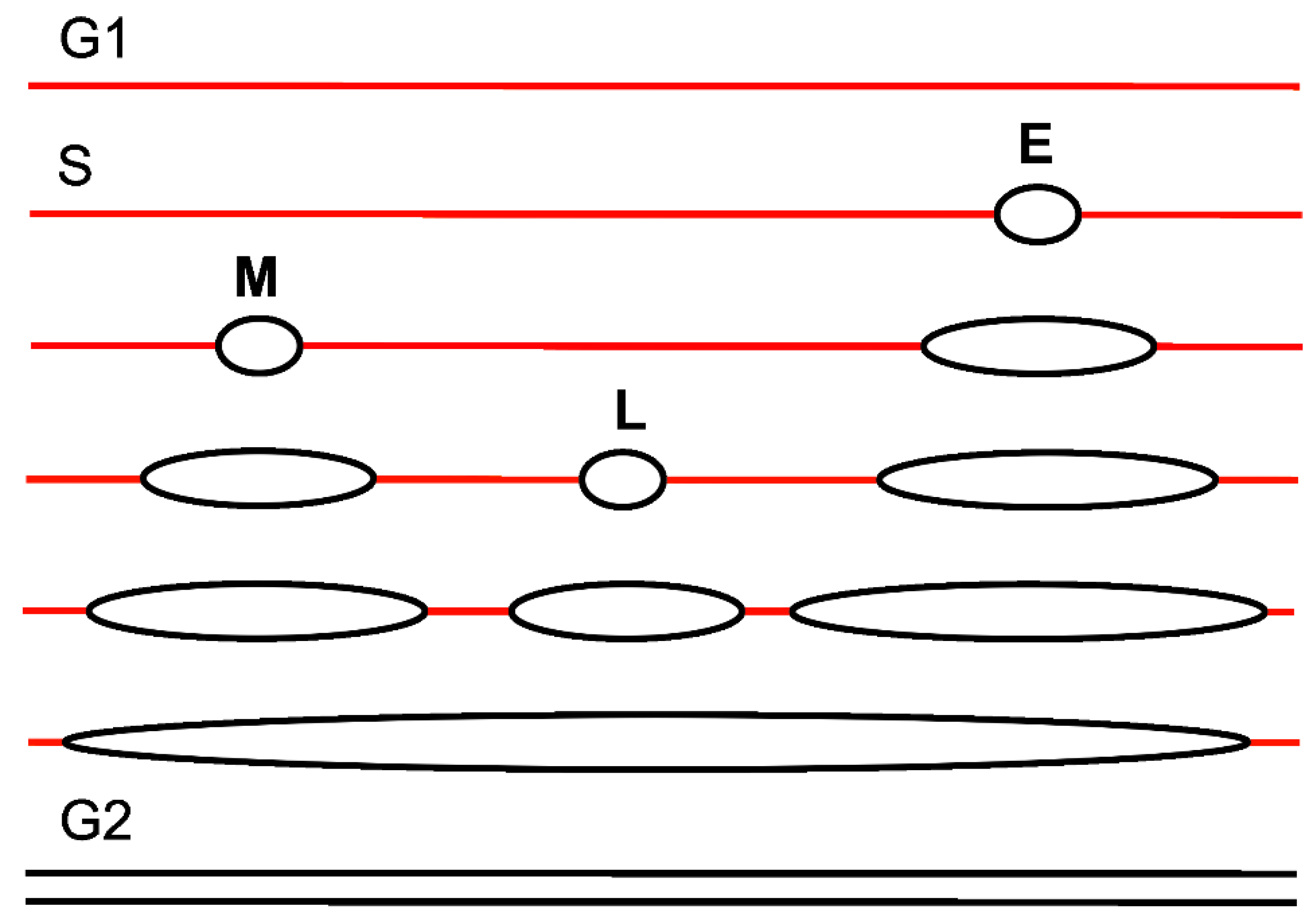 Ijms 22 11440 g002 Ijms 22 11440 g002