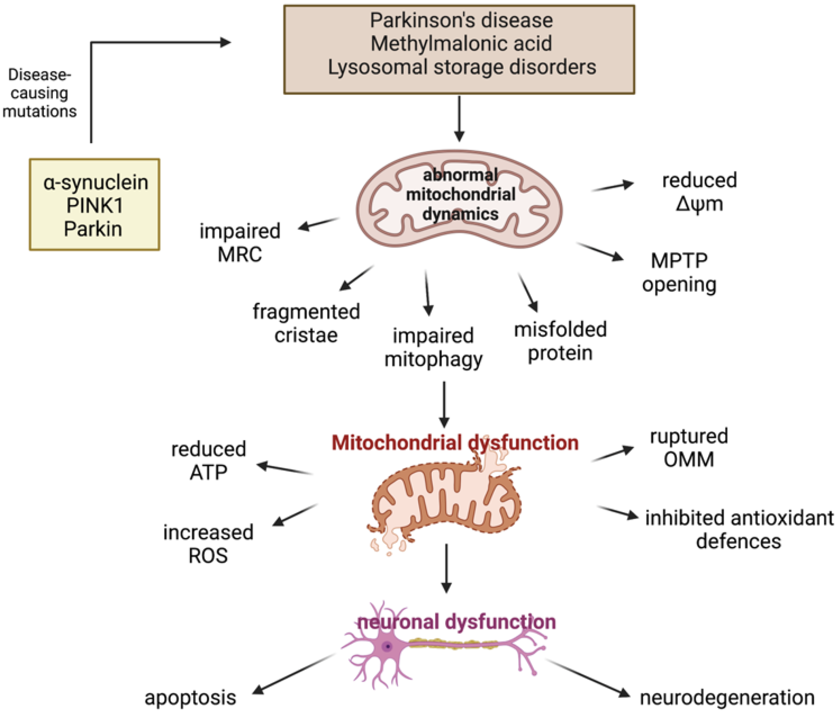 Ijms 22 11444 g002 550