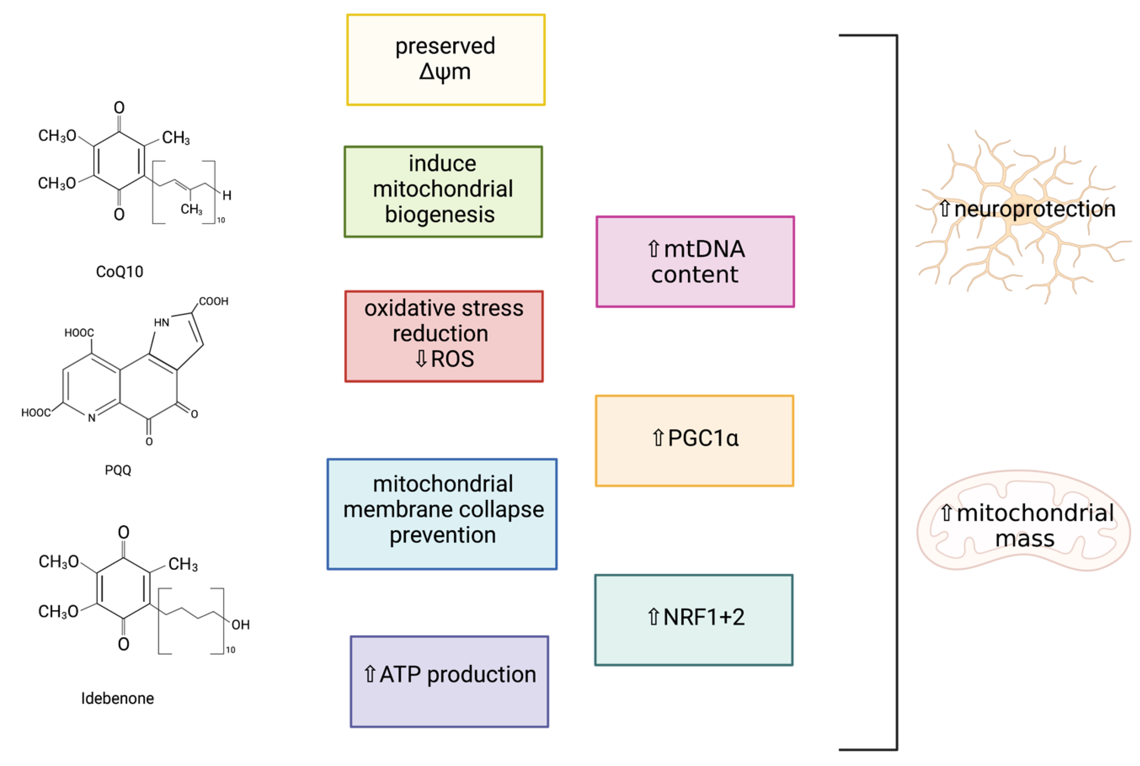 Ijms 22 11444 g010 550