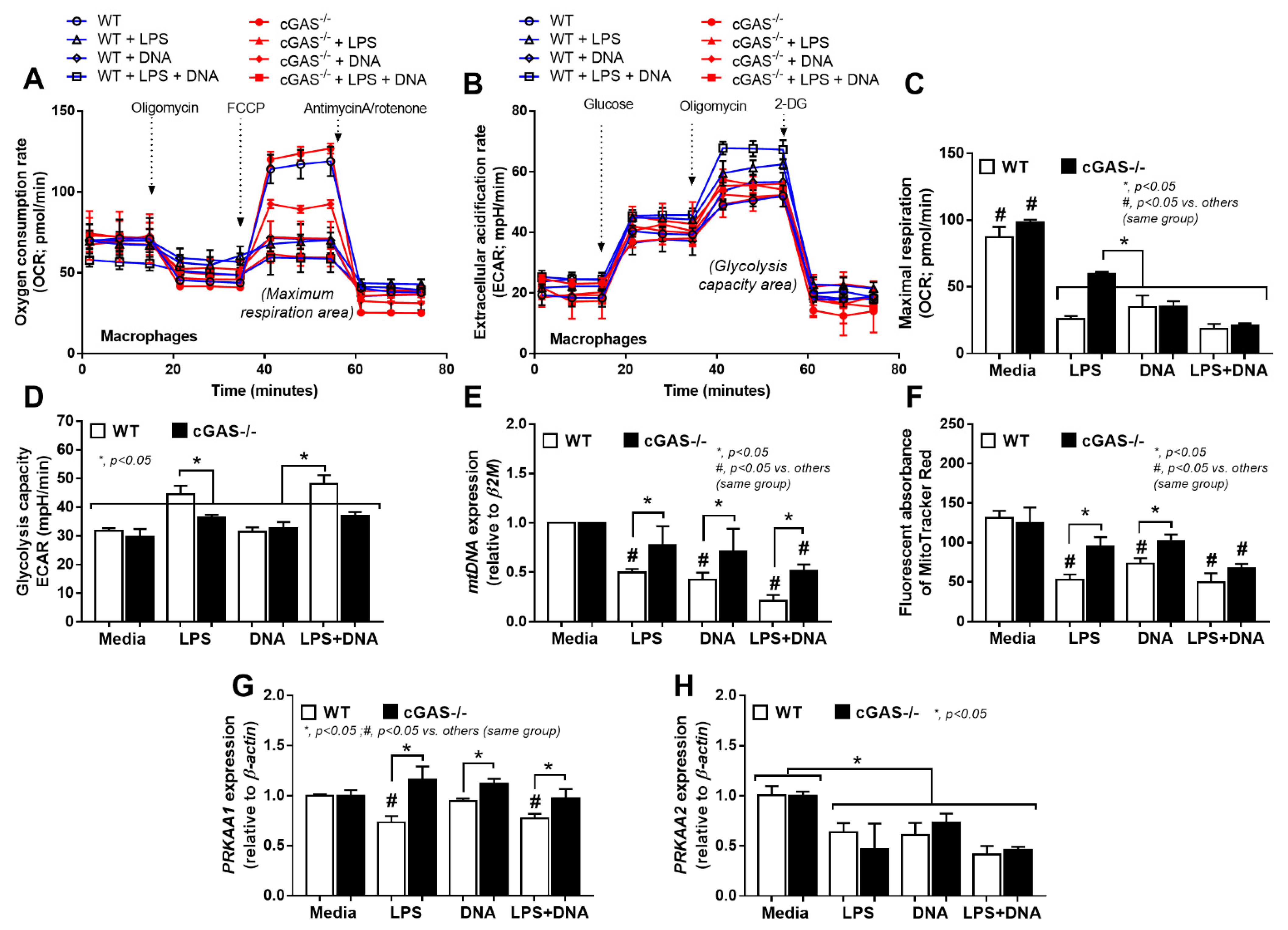 Ijms 22 11450 g007 550