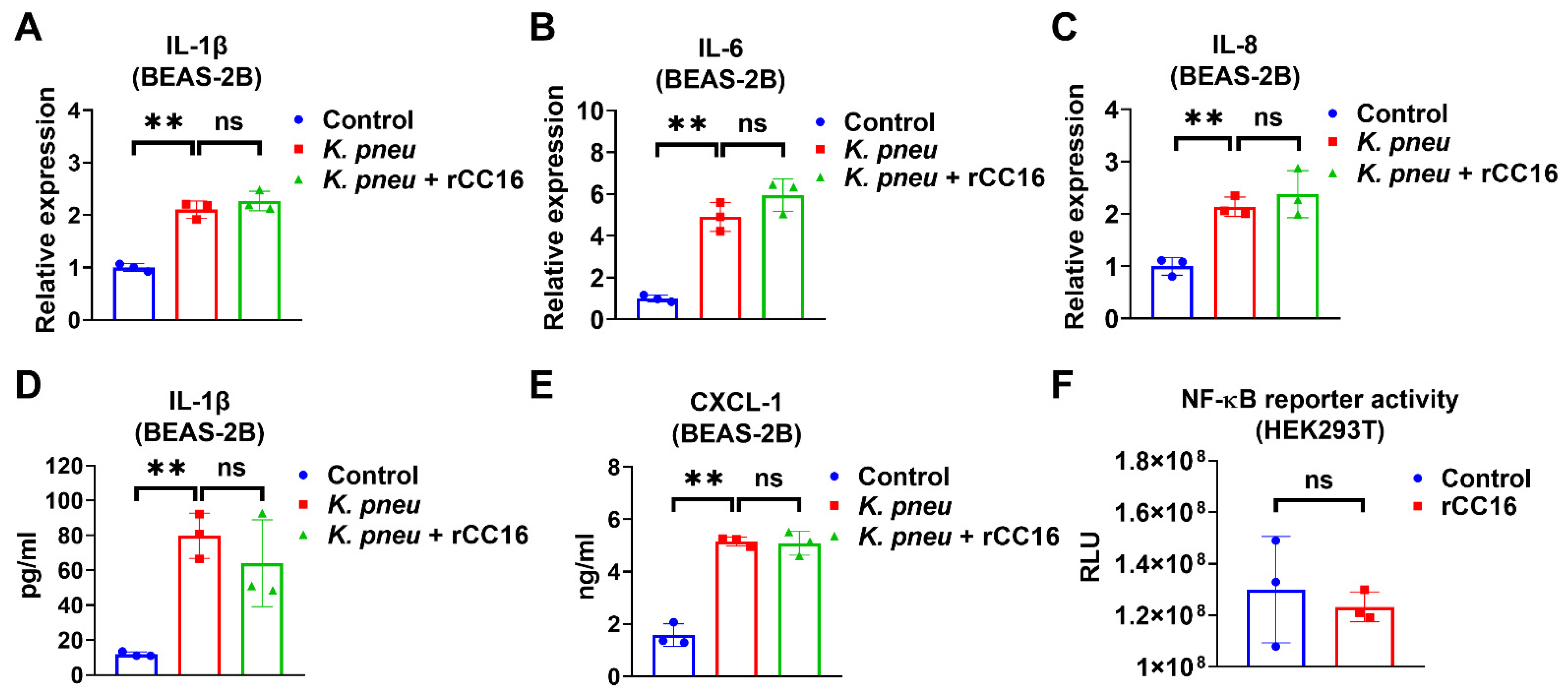 Ijms 22 11459 g002 Ijms 22 11459 g002