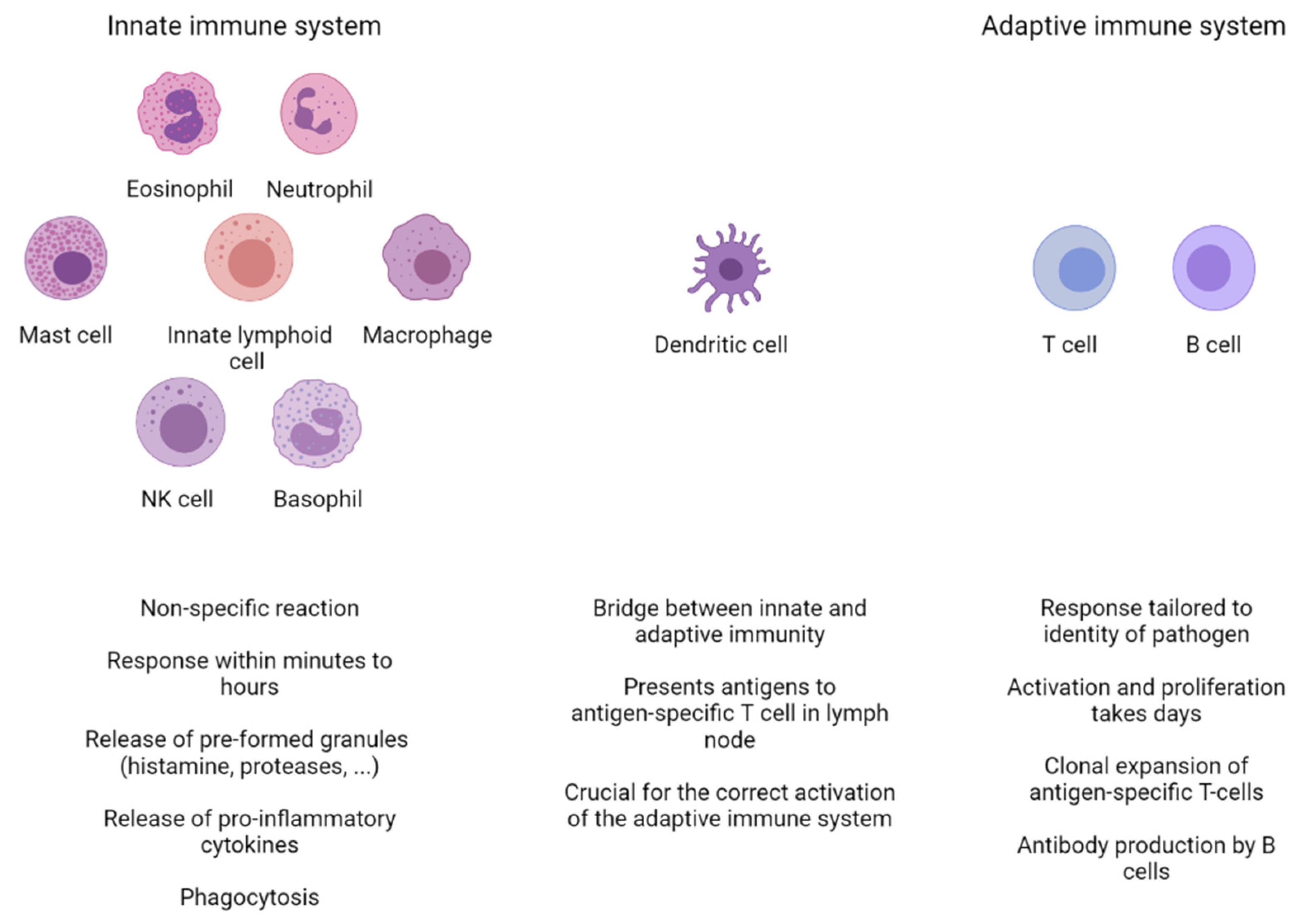 ijms free full text trpa1 expression and pathophysiology in immune cells html