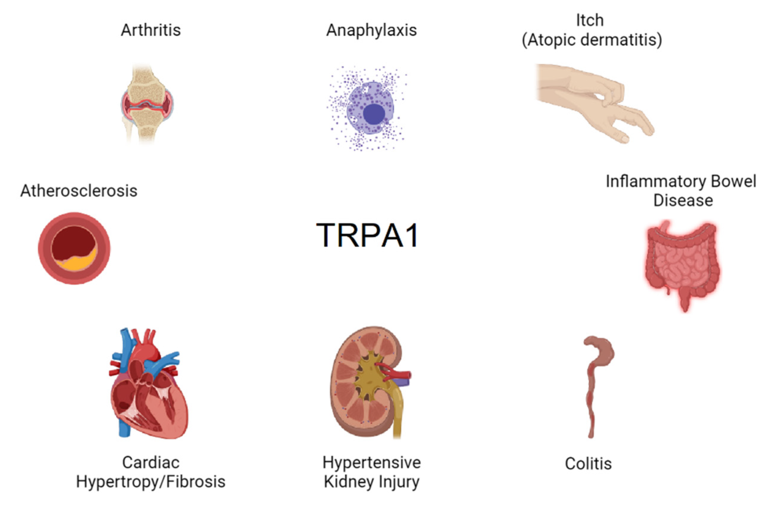 Ijms 22 11460 g003 550