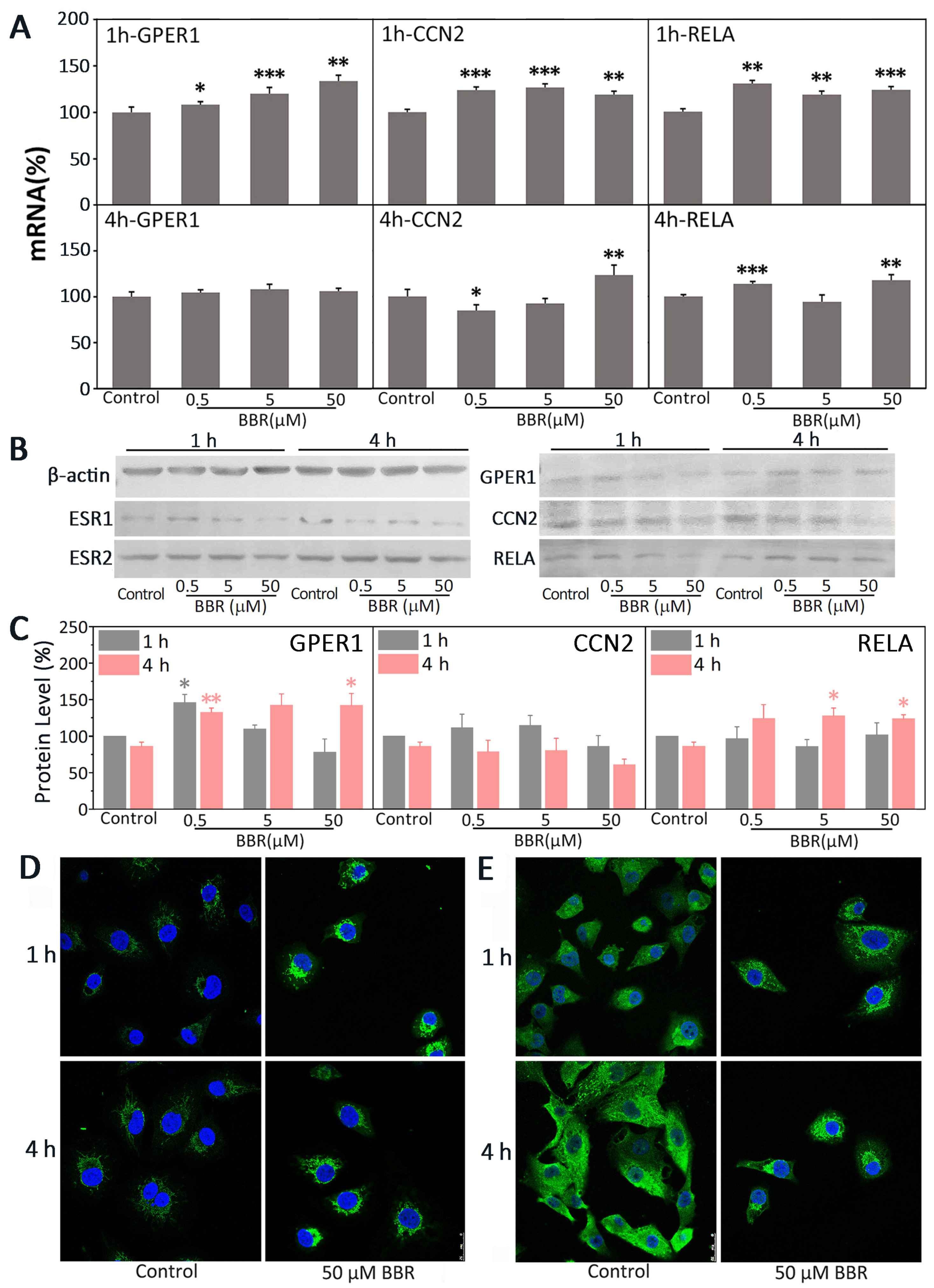 Ijms 22 11466 g002 550