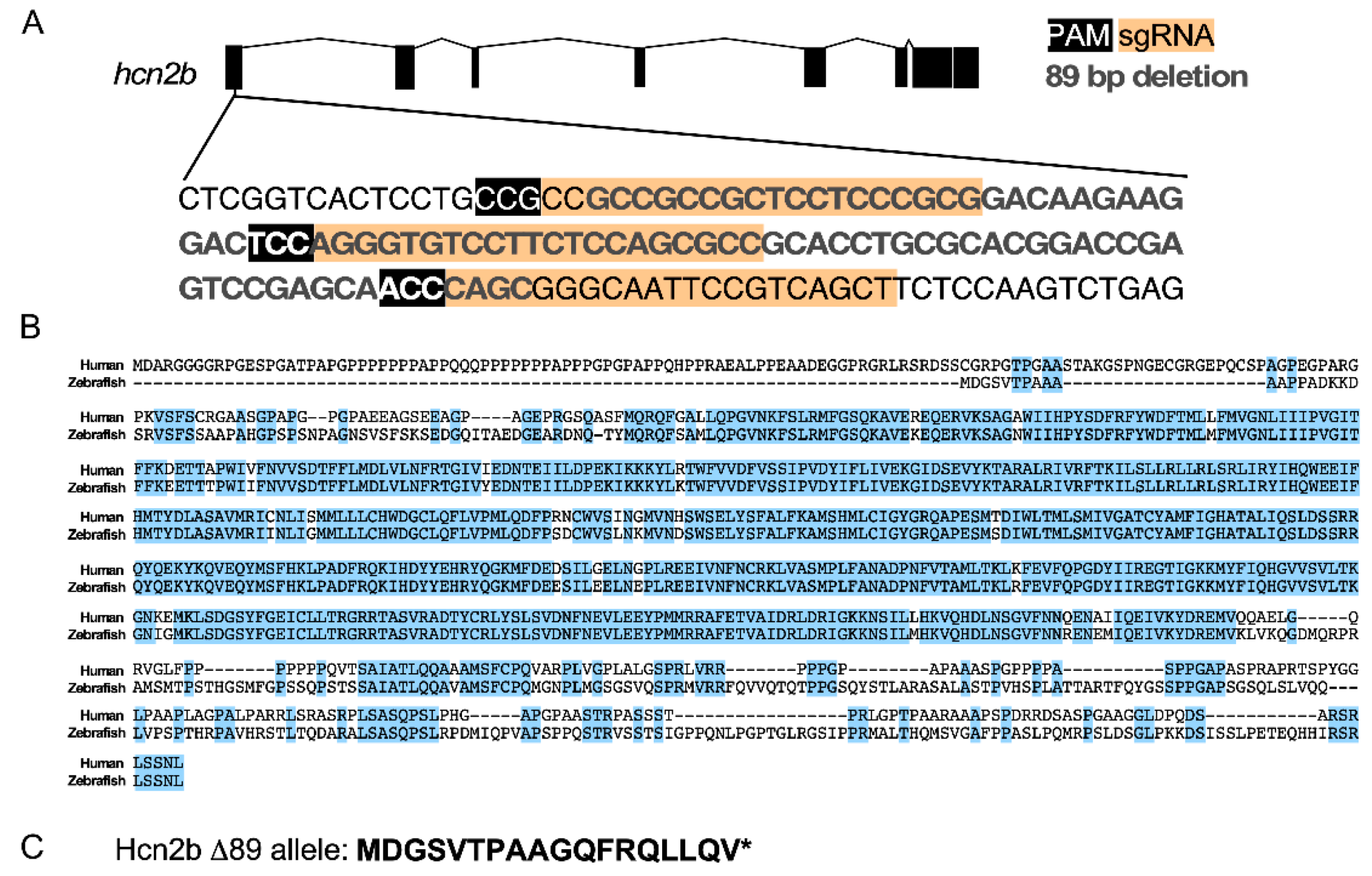 Ijms 22 11471 g001 550