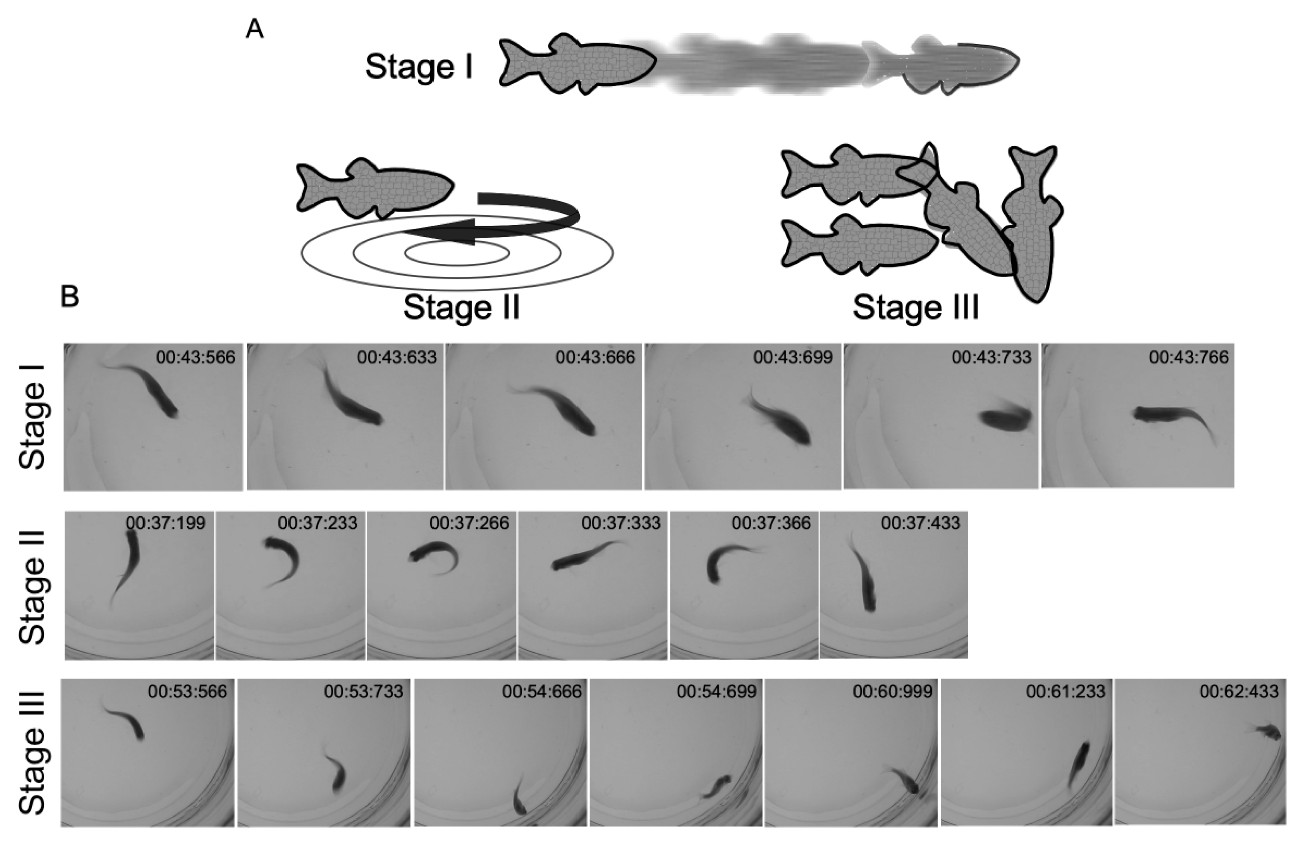Ijms 22 11471 g005 550