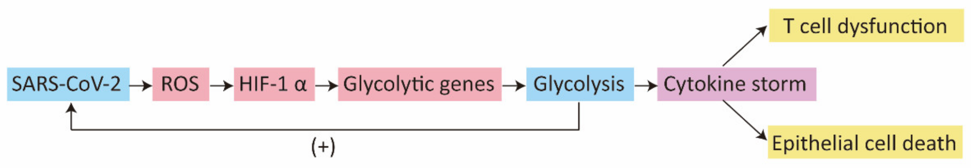 Ijms 22 11475 g002 550