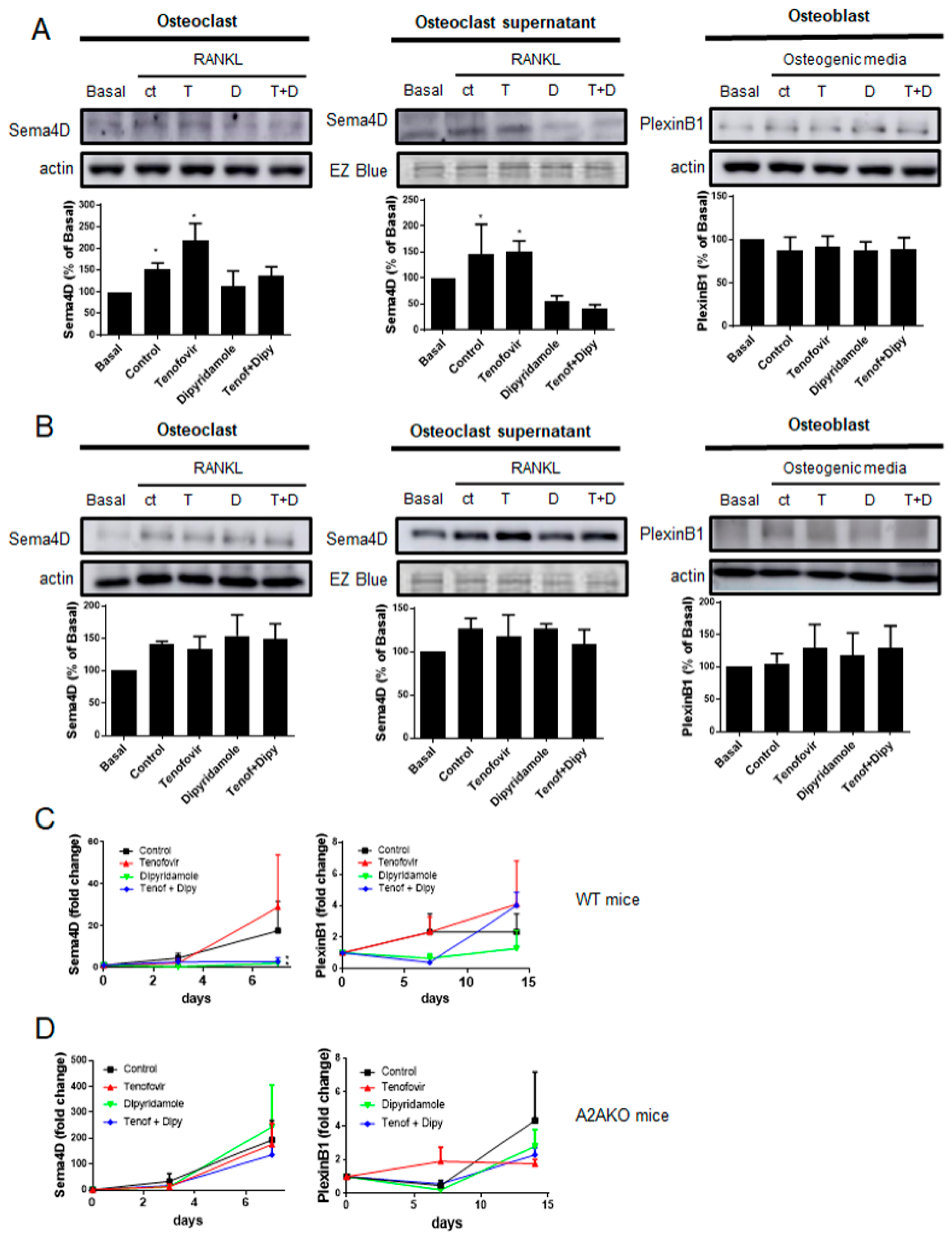 Ijms 22 11490 g003 550