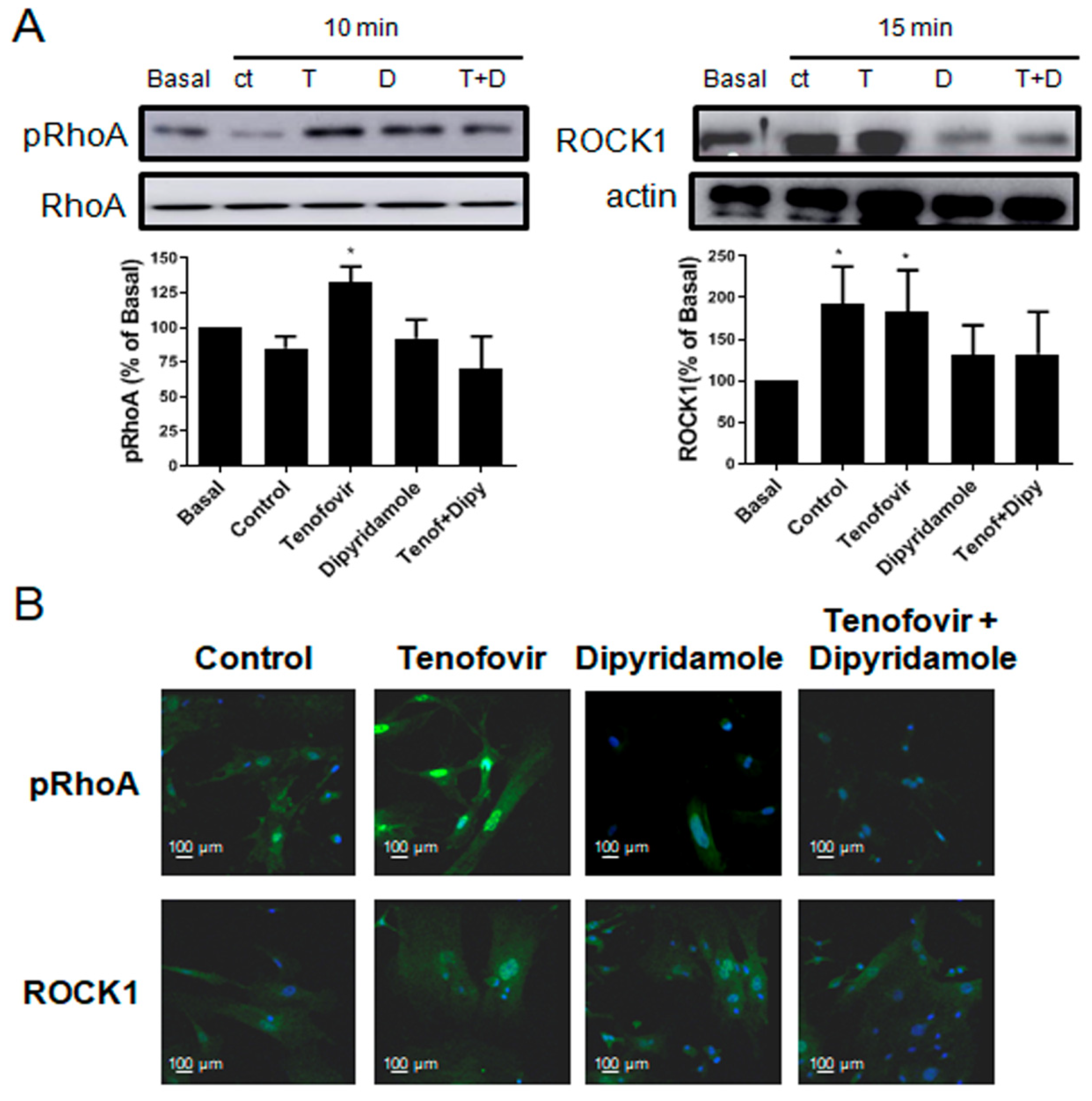 Ijms 22 11490 g004 550