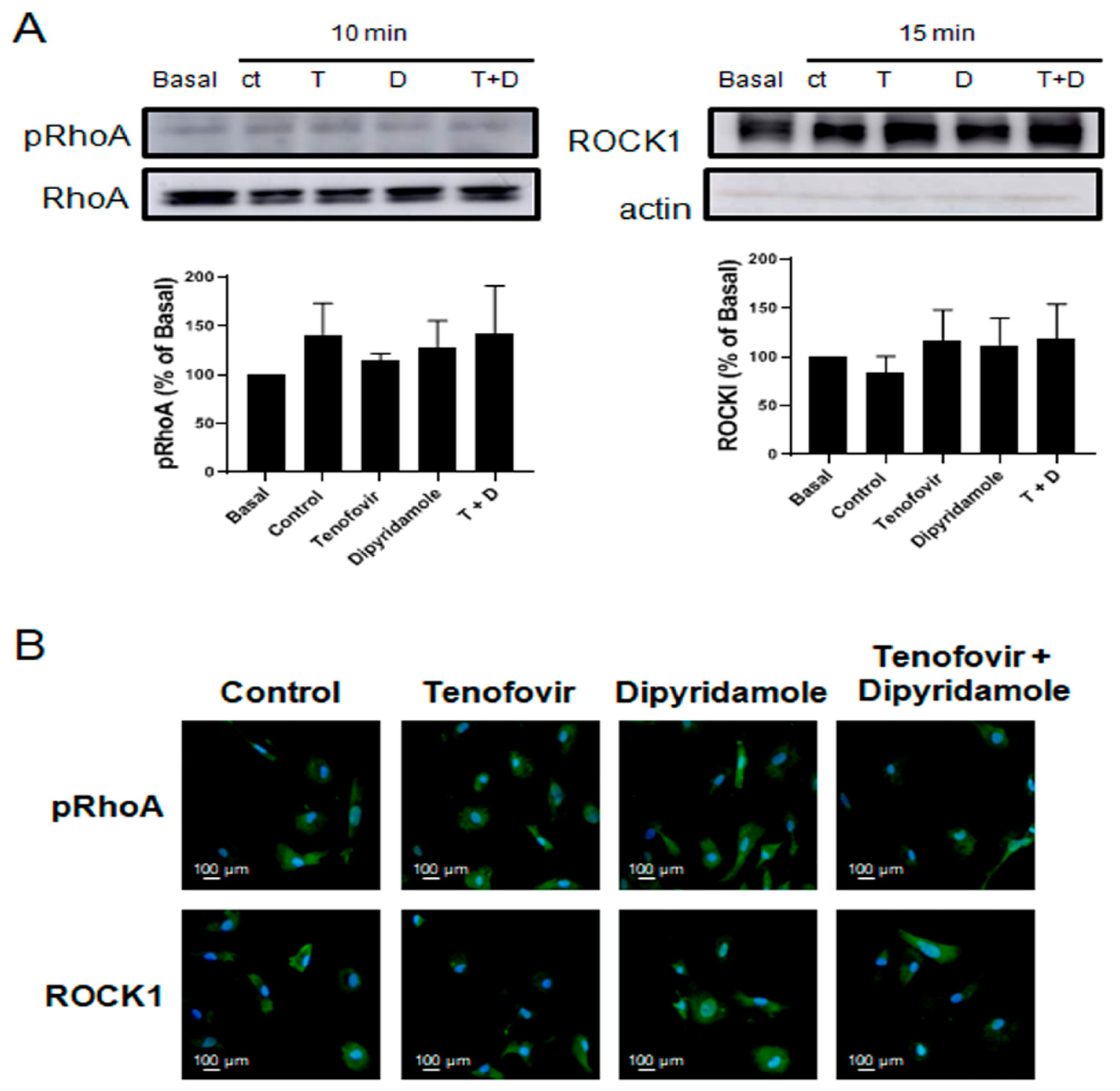 Ijms 22 11490 g005 550