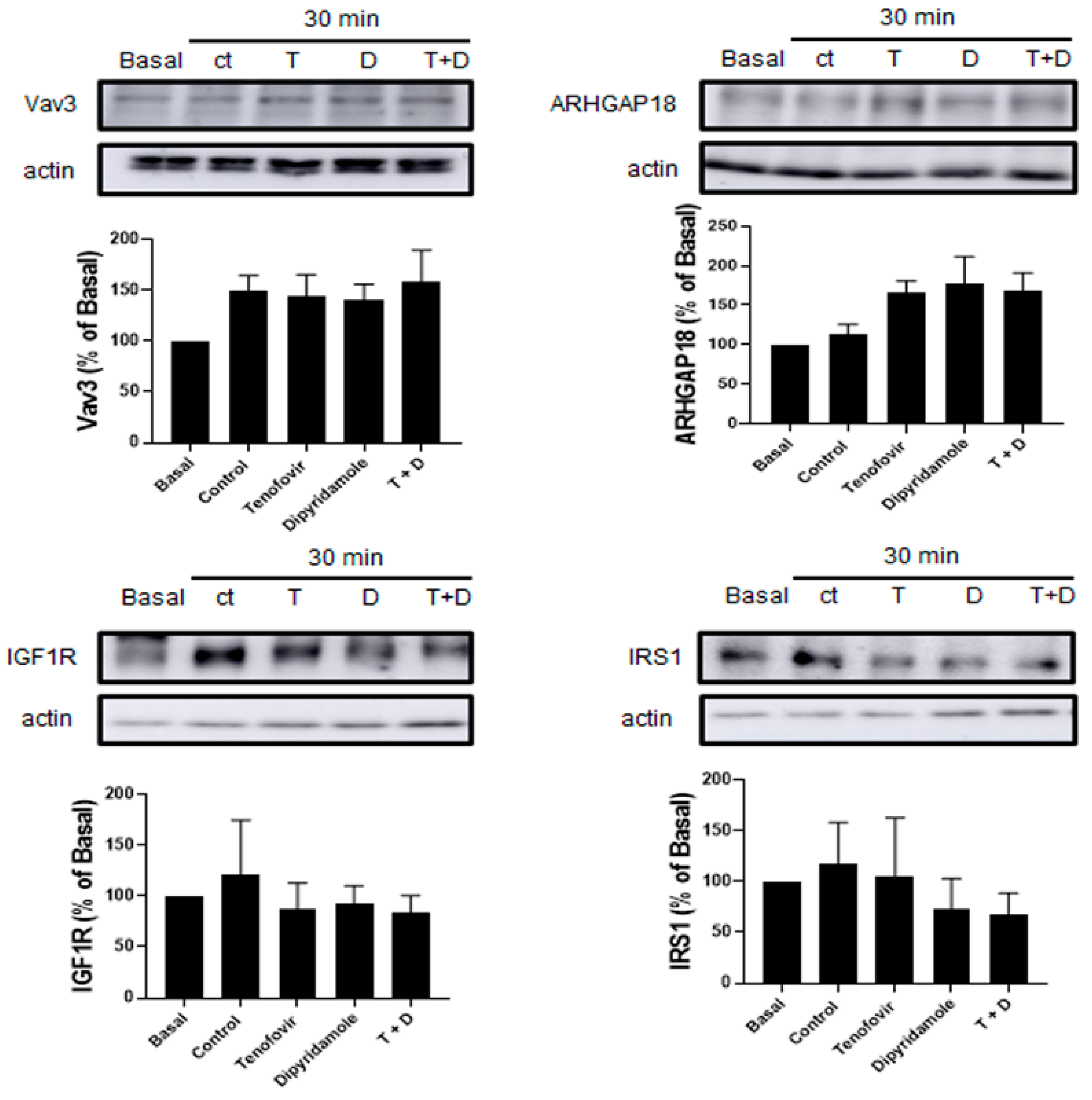 Ijms 22 11490 g007 550