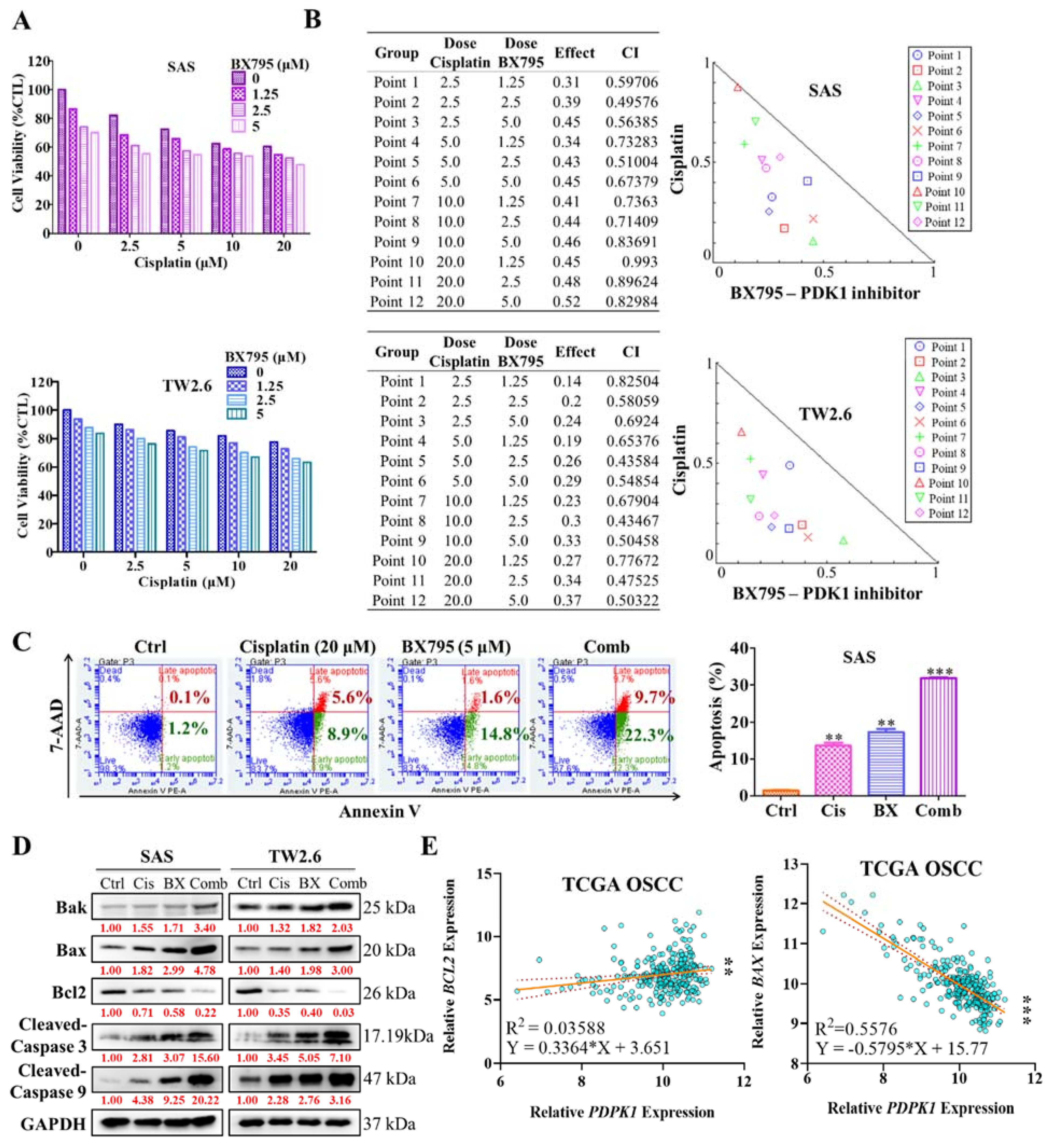 Ijms 22 11492 g004 550