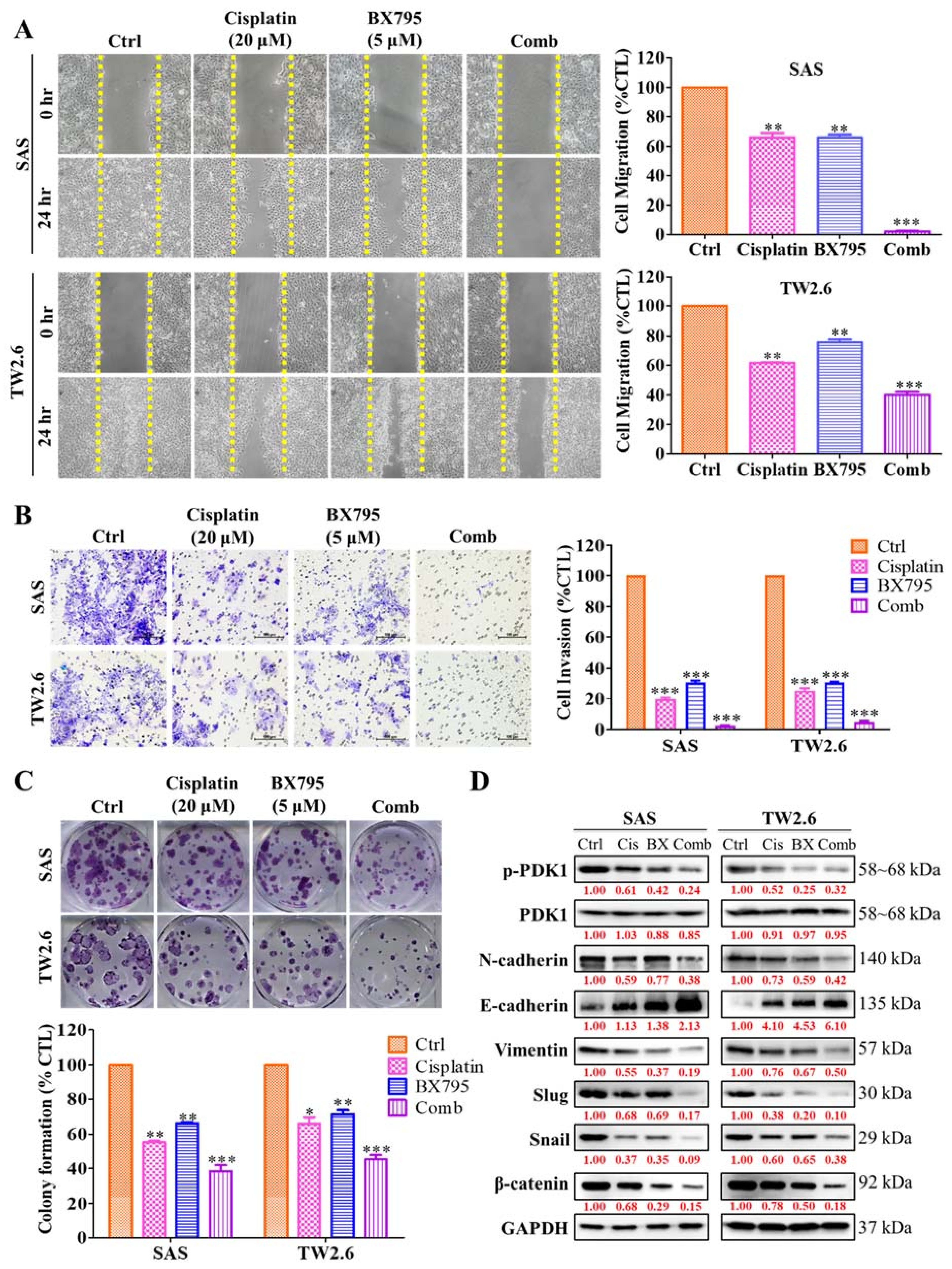 Ijms 22 11492 g005 550