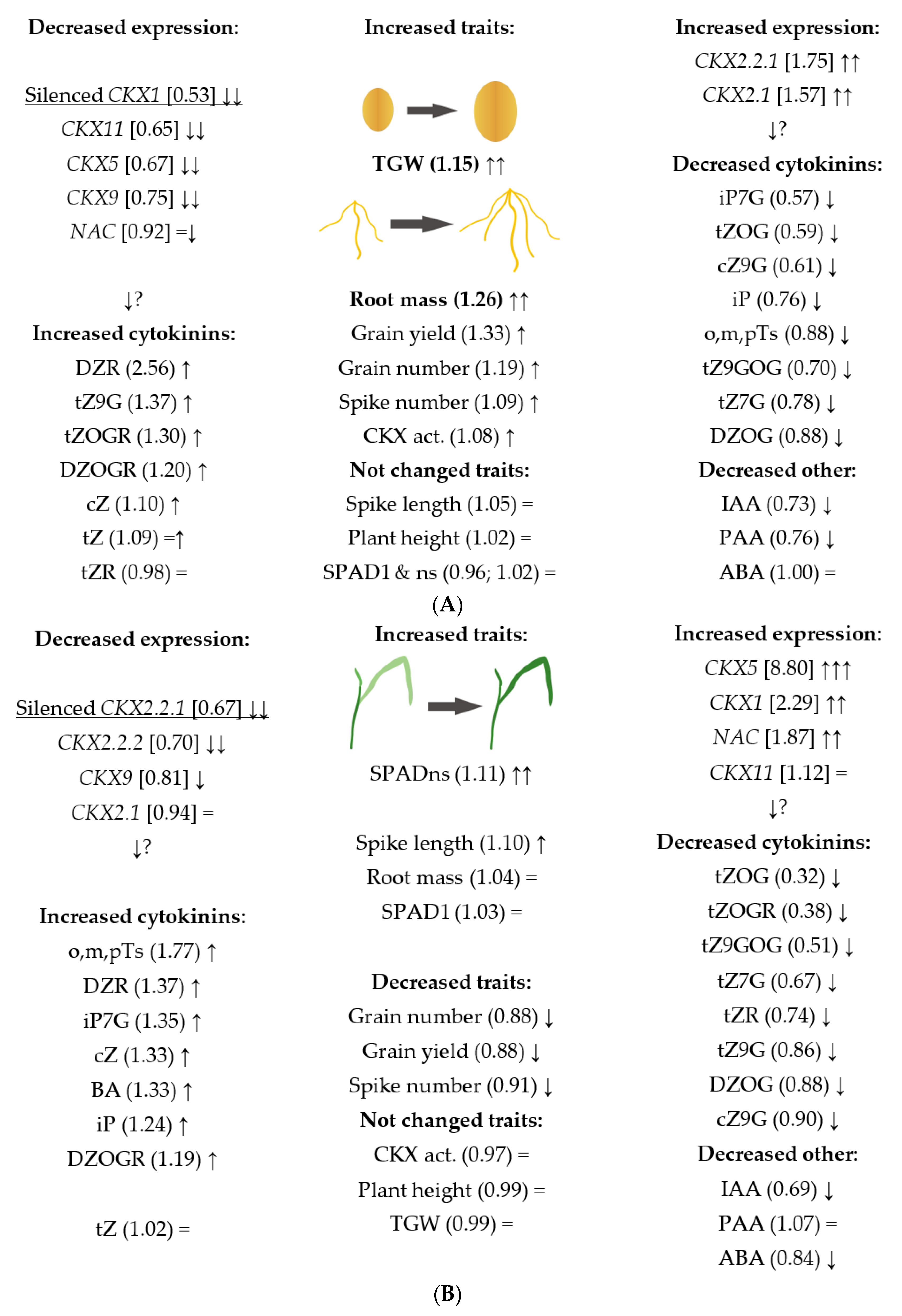 Ijms 22 11494 g006 550
