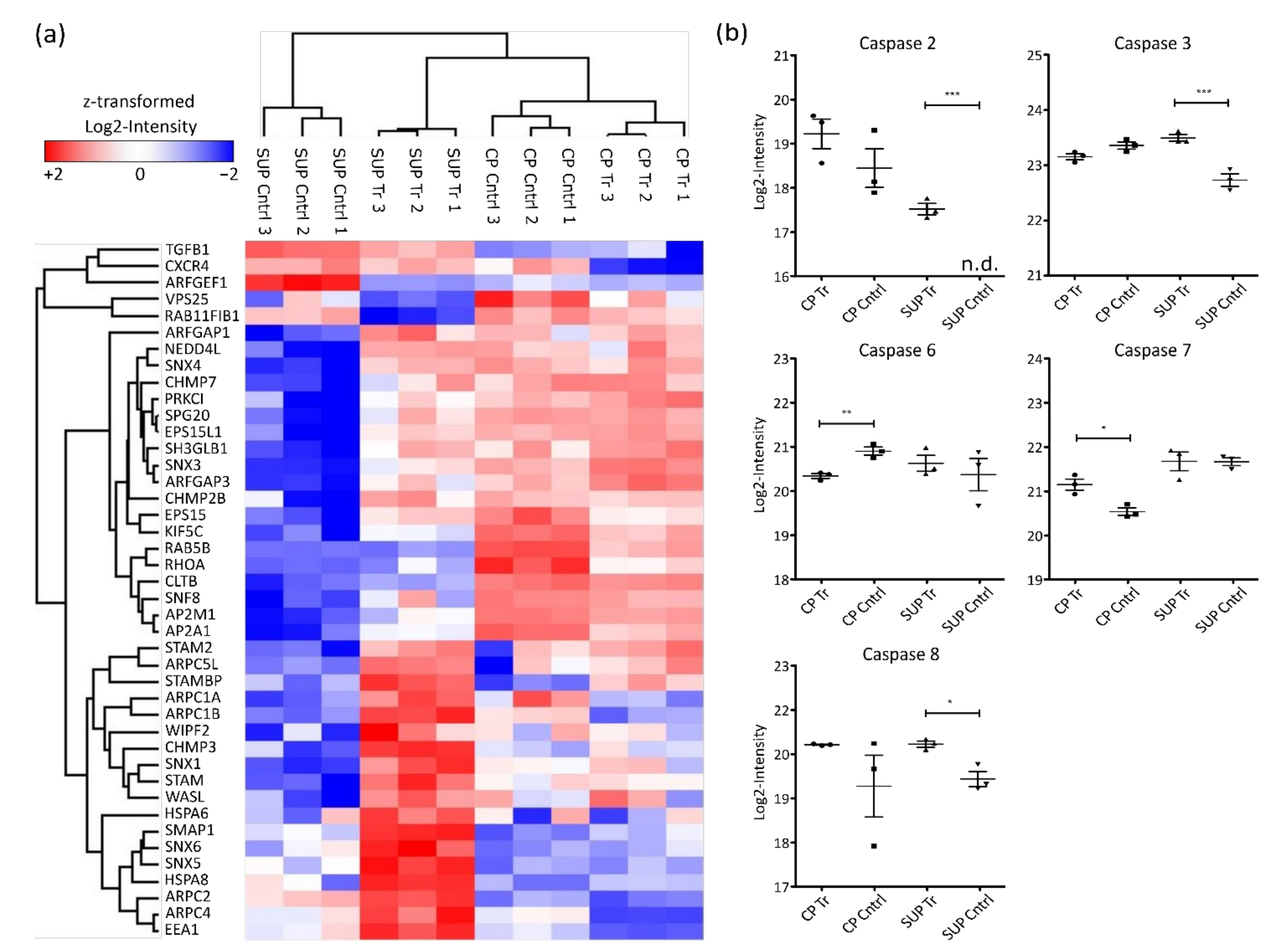Ijms 22 11499 g004 550